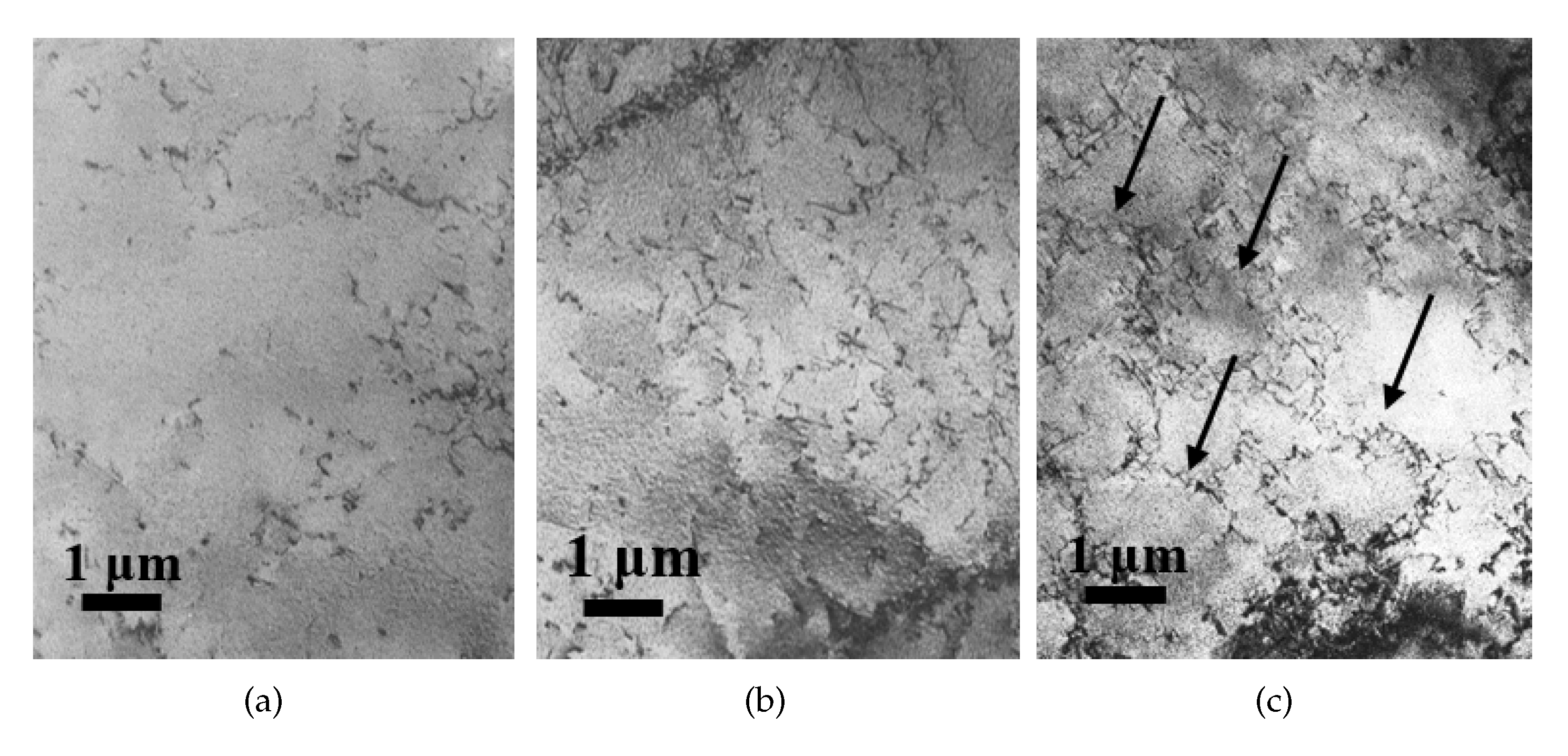 Metals 09 01276 g006