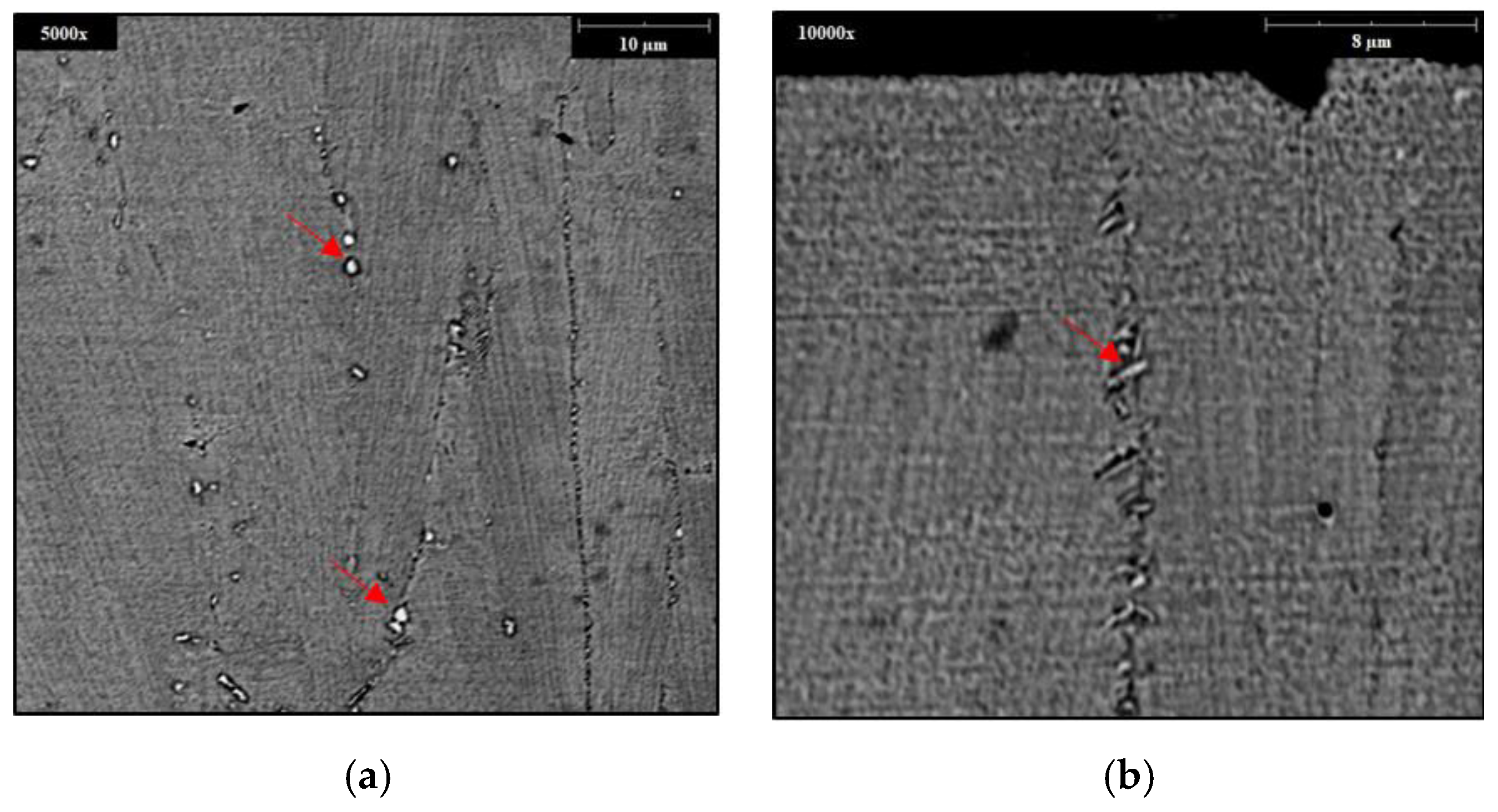 Metals 09 01290 g011