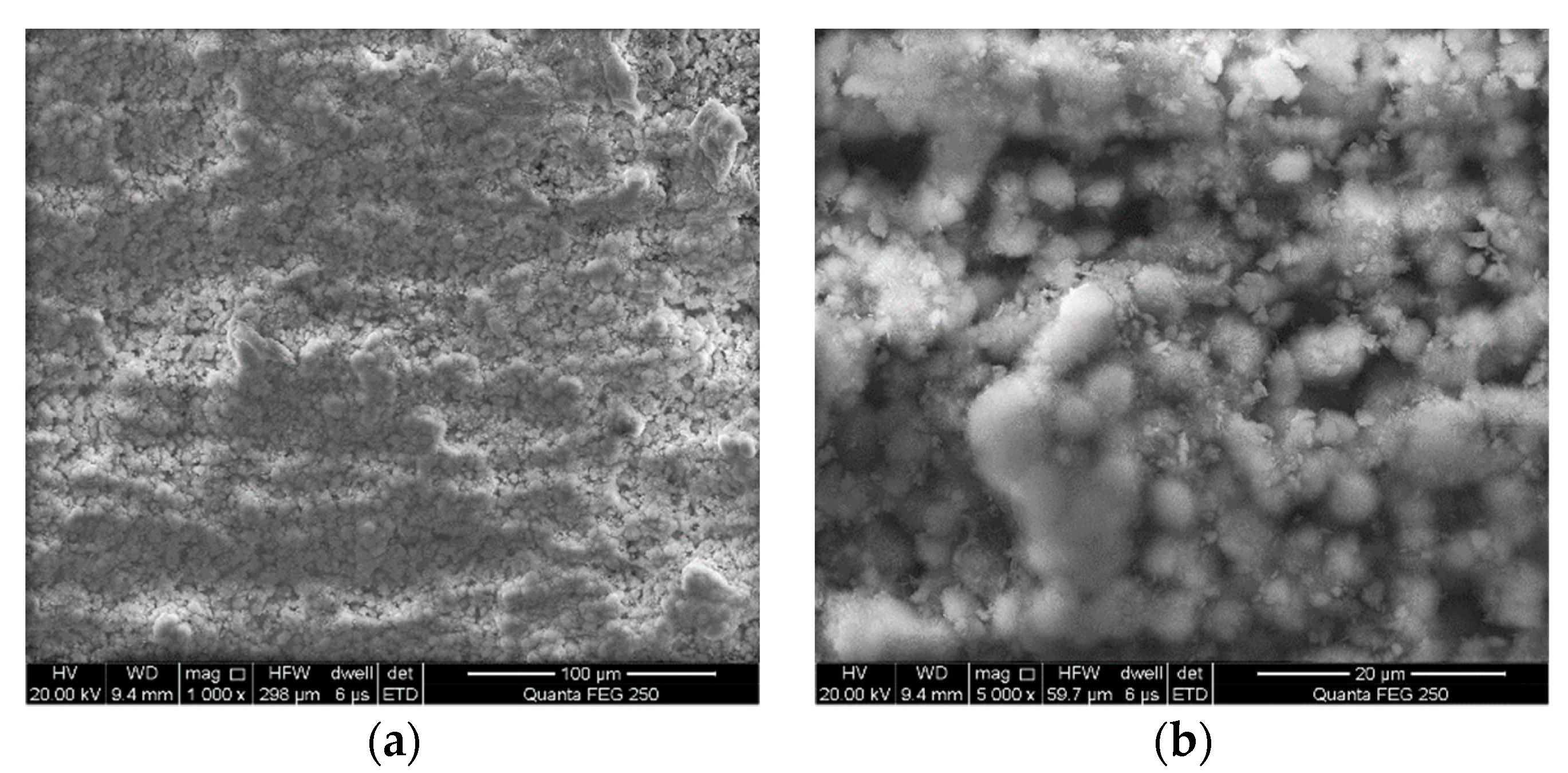 Metals 09 01320 g004