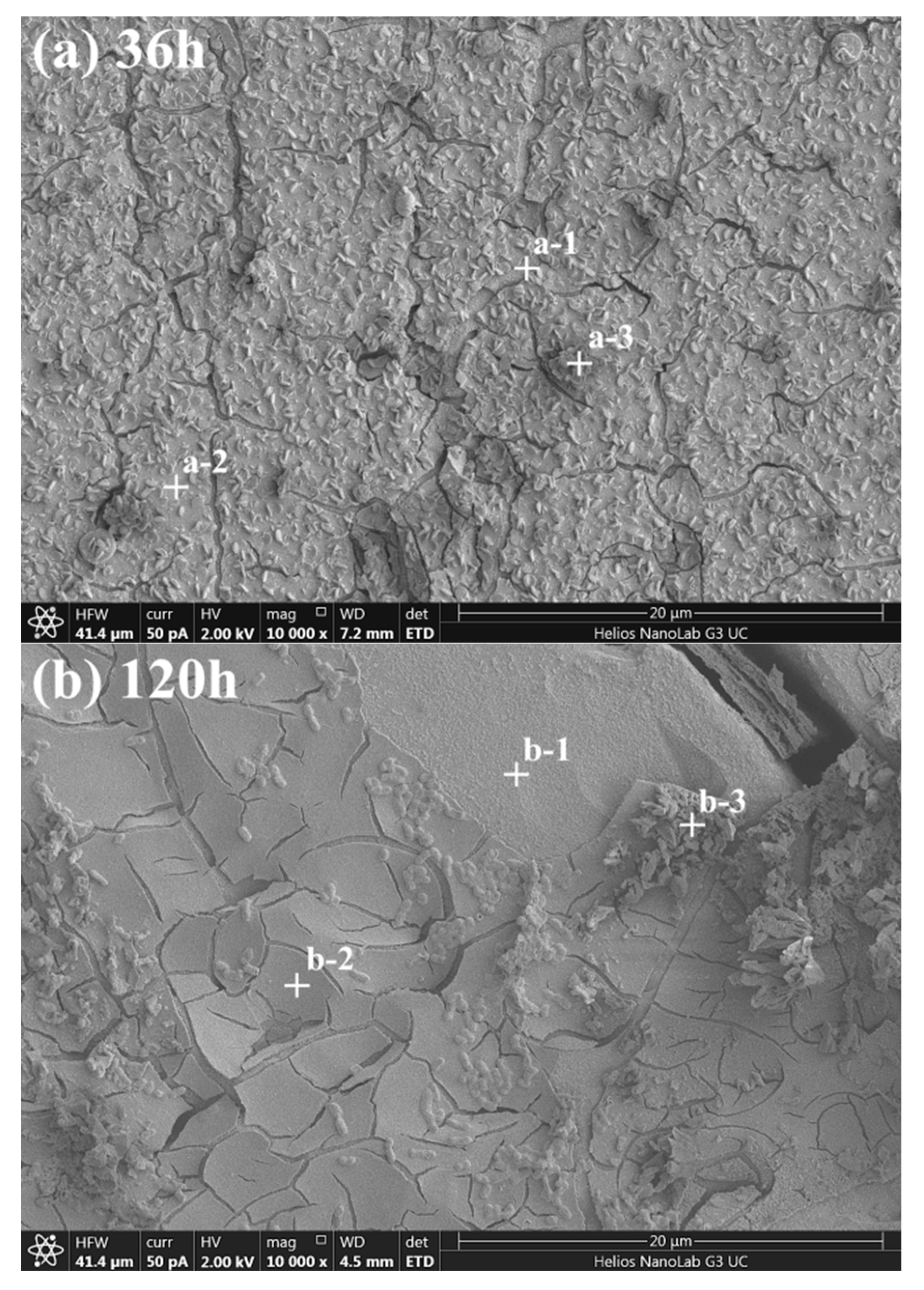 Metals 09 01320 g005