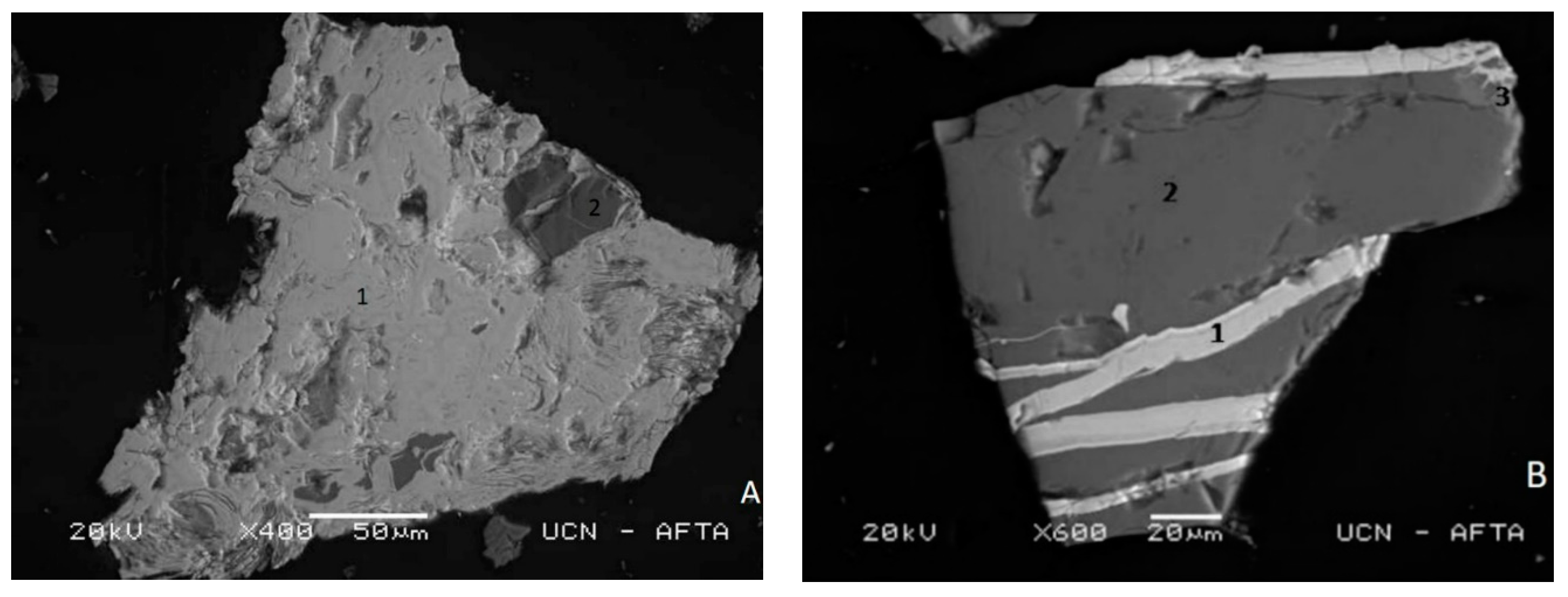 Metals 09 01339 g003