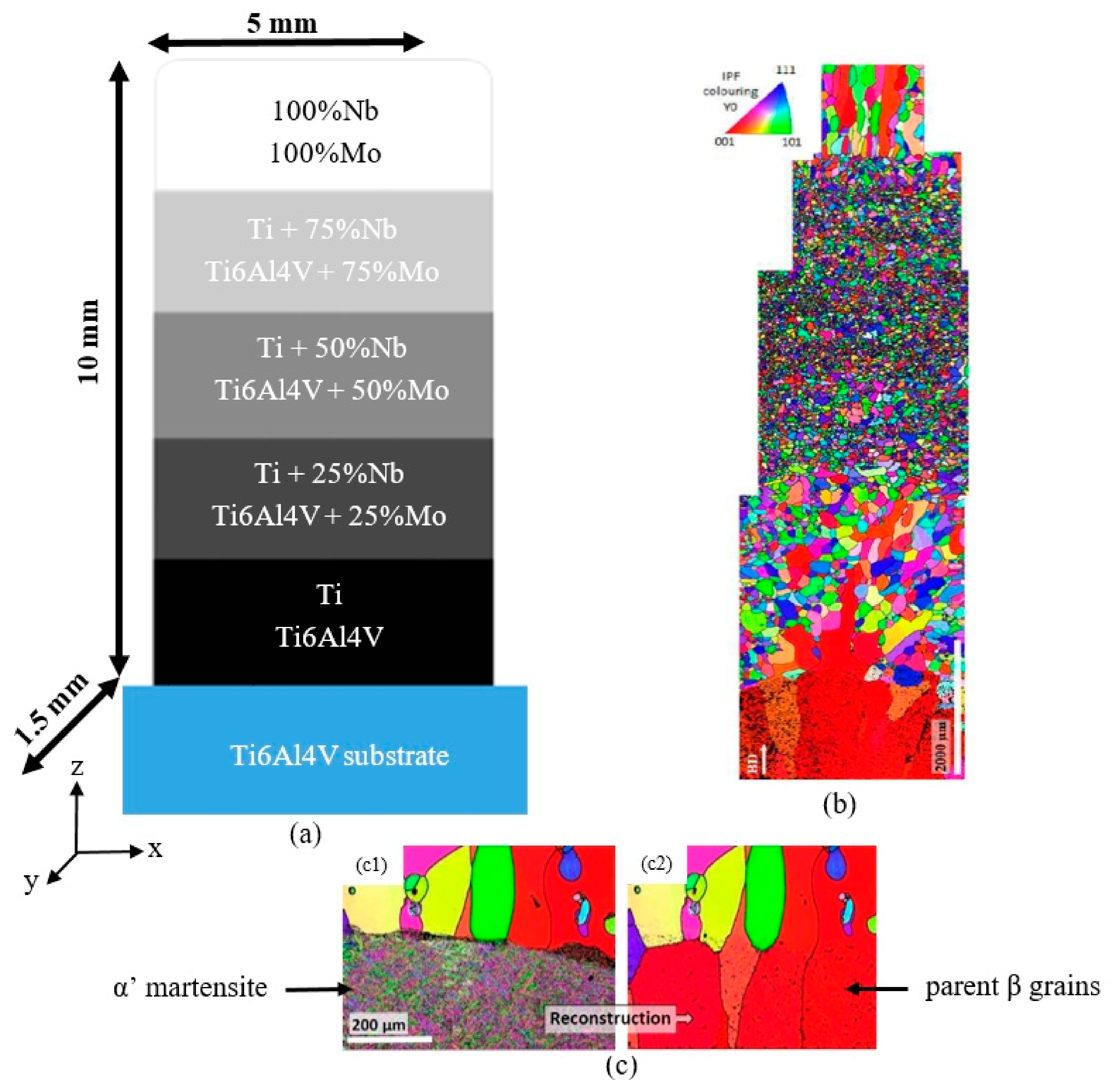 Metals 09 01344 g001