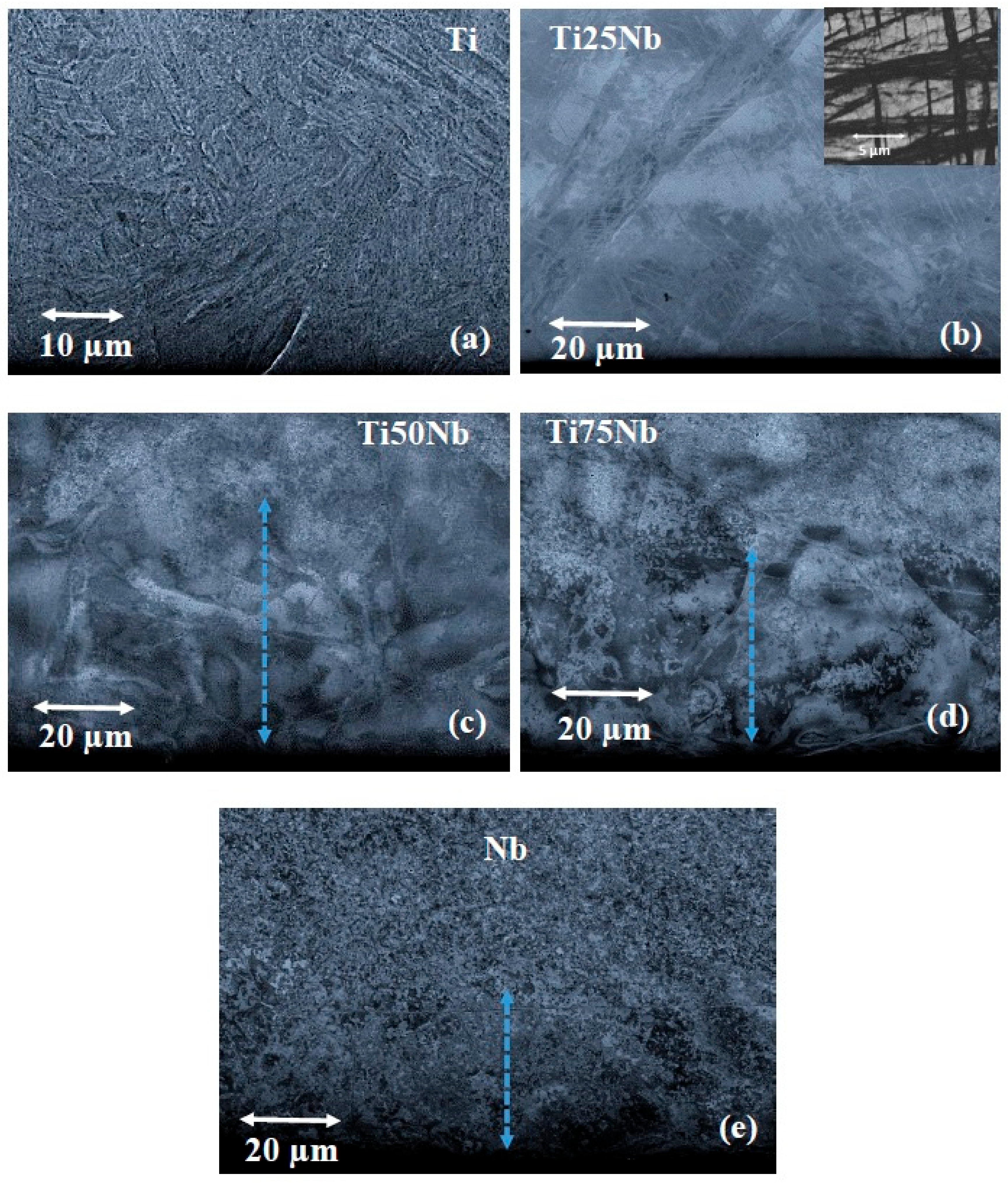 Metals 09 01344 g002