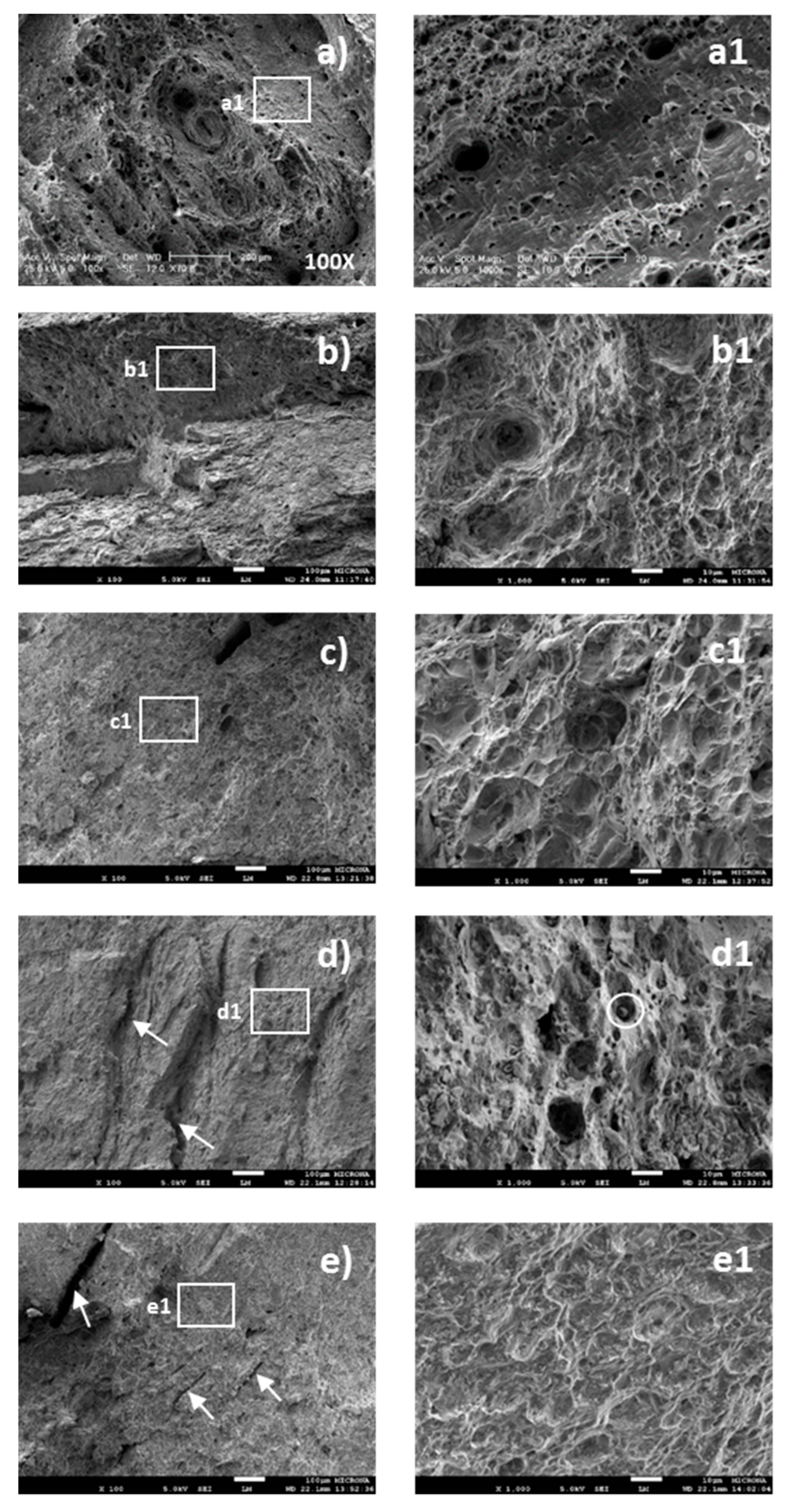 Metals 09 01353 g003