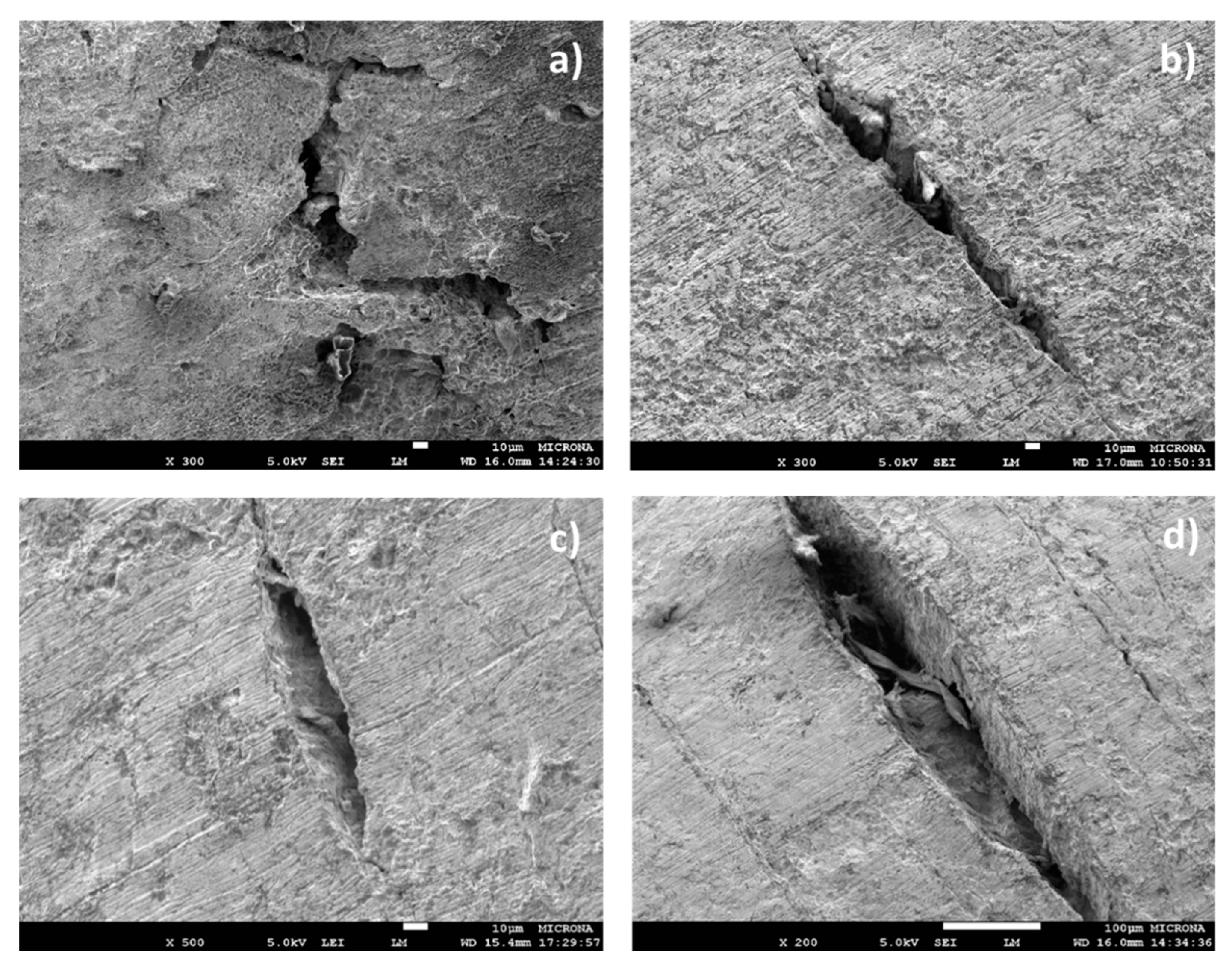 Metals 09 01353 g004