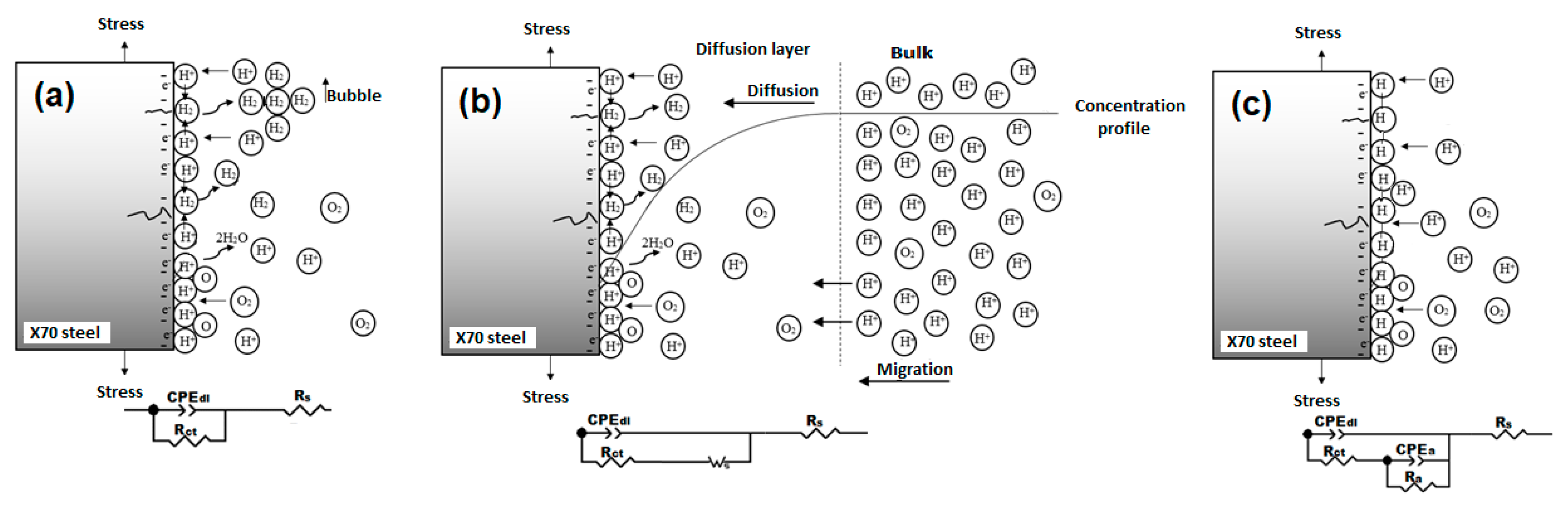 Metals 09 01353 g007