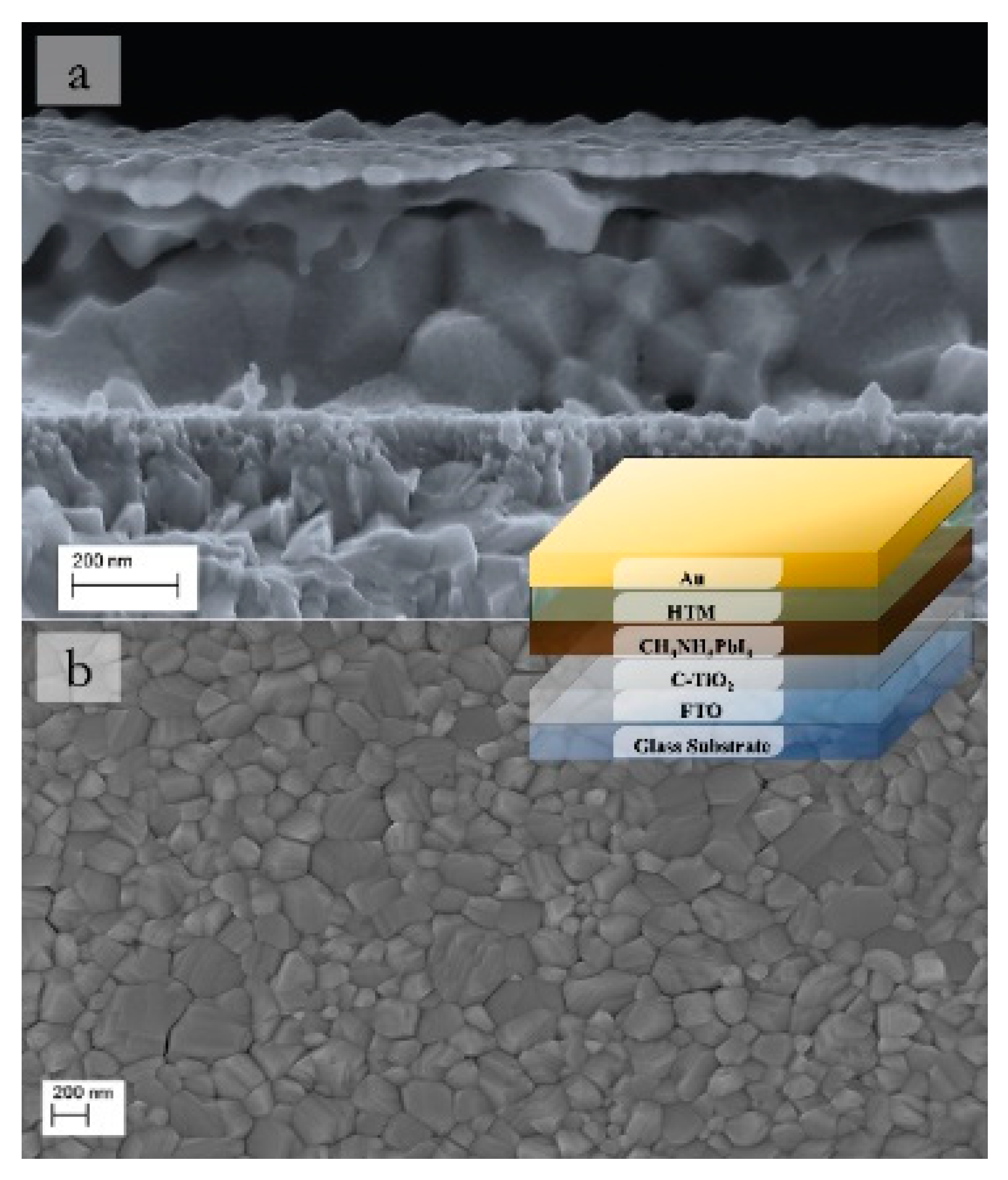 Metals 10 00014 g001