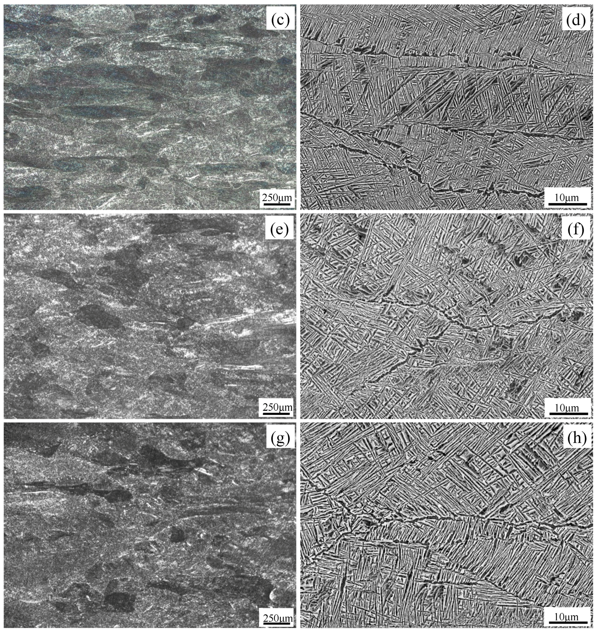 Metals 10 00067 g004b