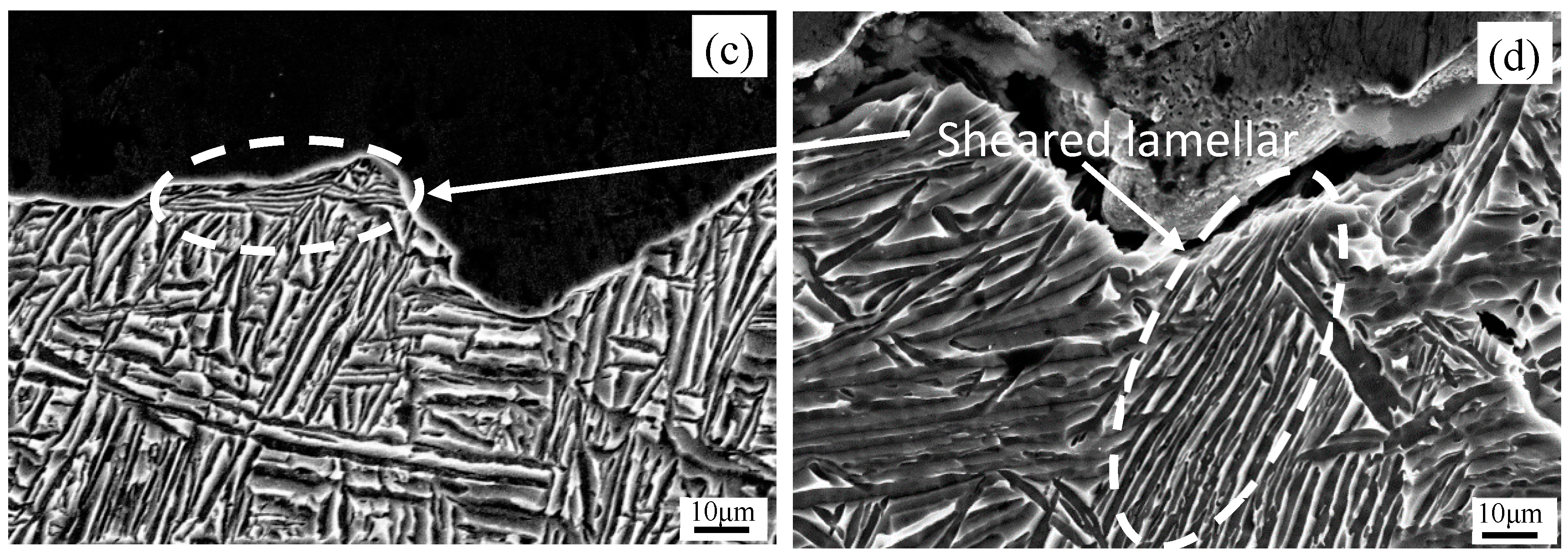Metals 10 00067 g012b