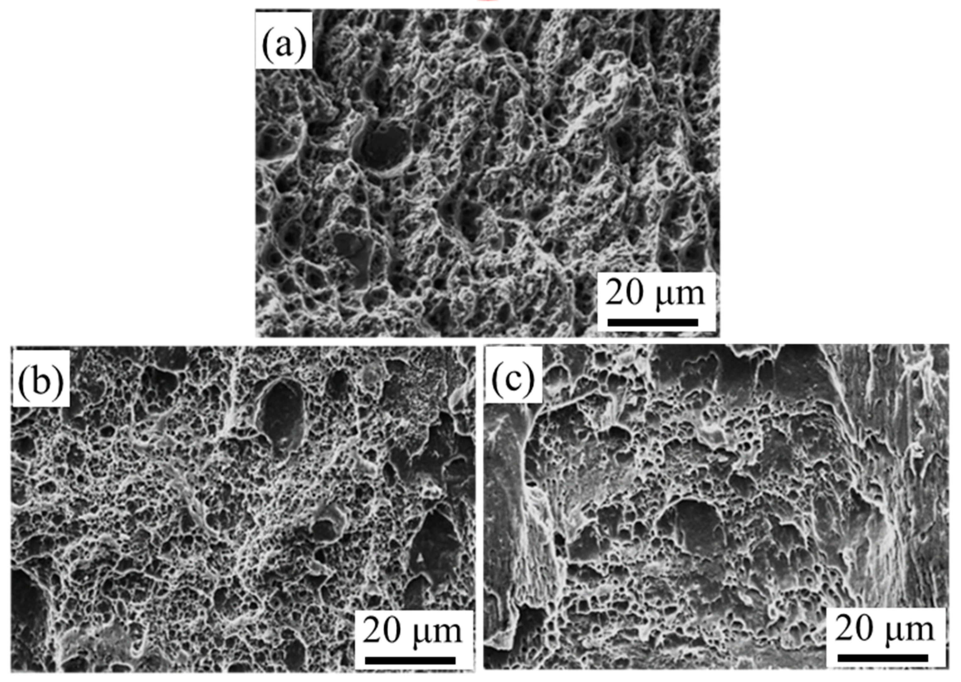 Metals 10 00070 g010