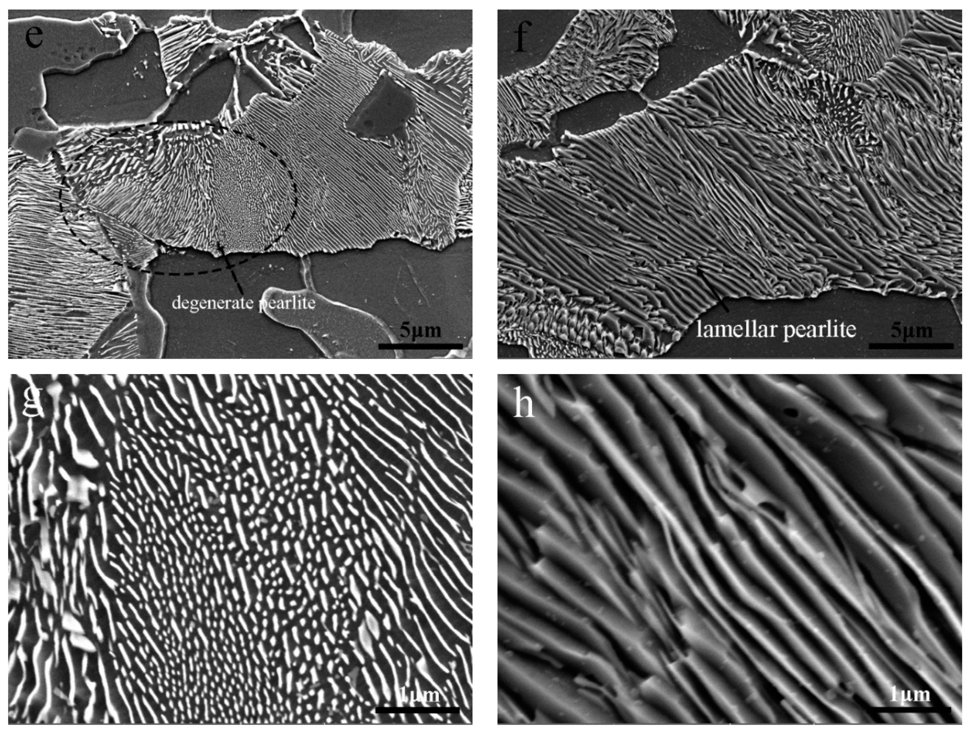 Metals 10 00076 g005b Metals 10 00076 g005b