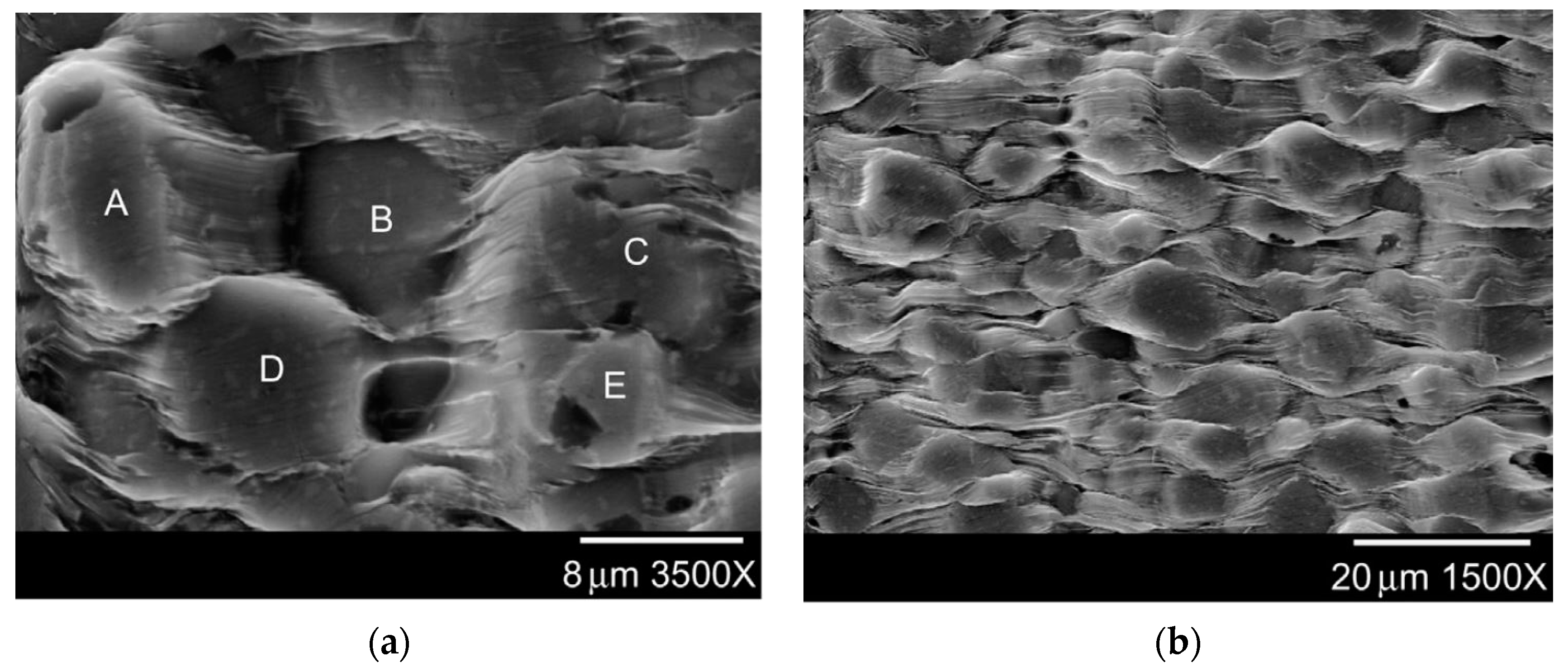 Metals 10 00077 g014