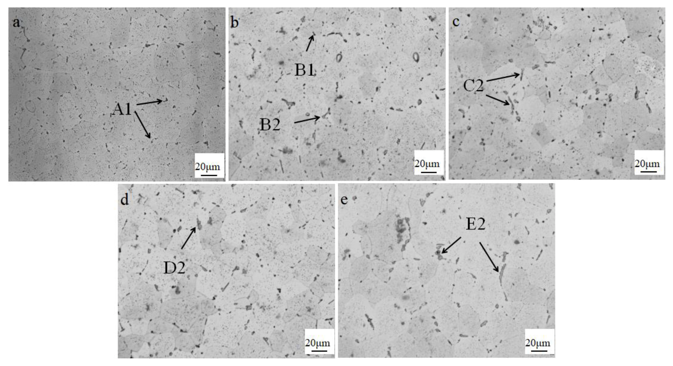 Metals 10 00079 g006