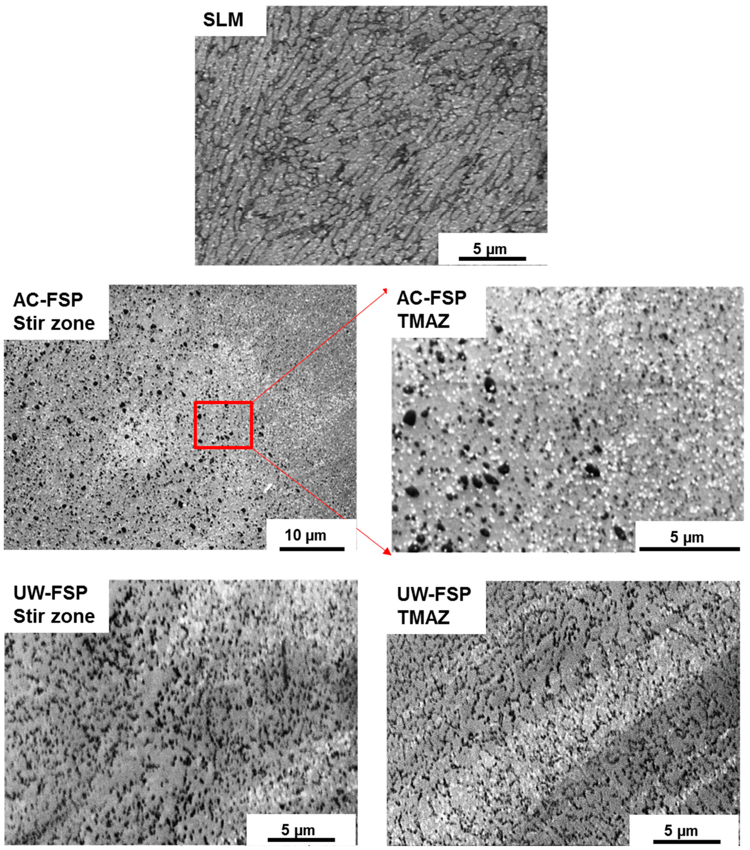 Metals 10 00085 g001