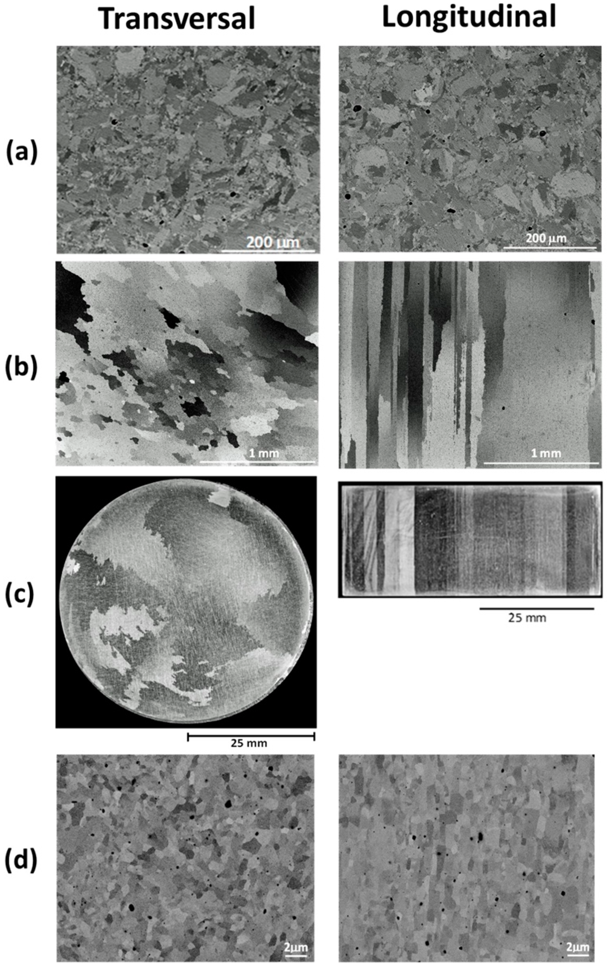 Metals 10 00087 g001