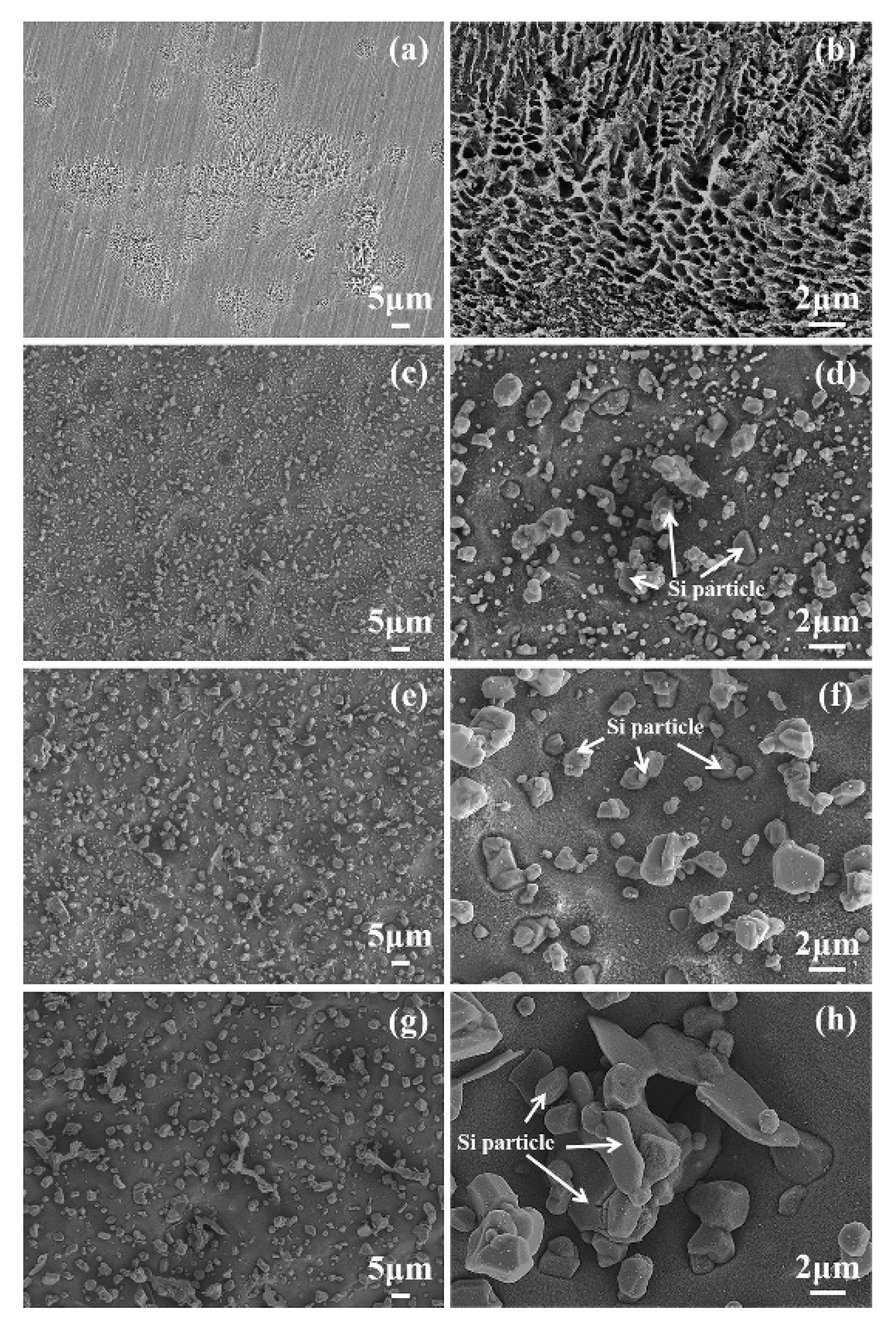 Metals 10 00102 g011