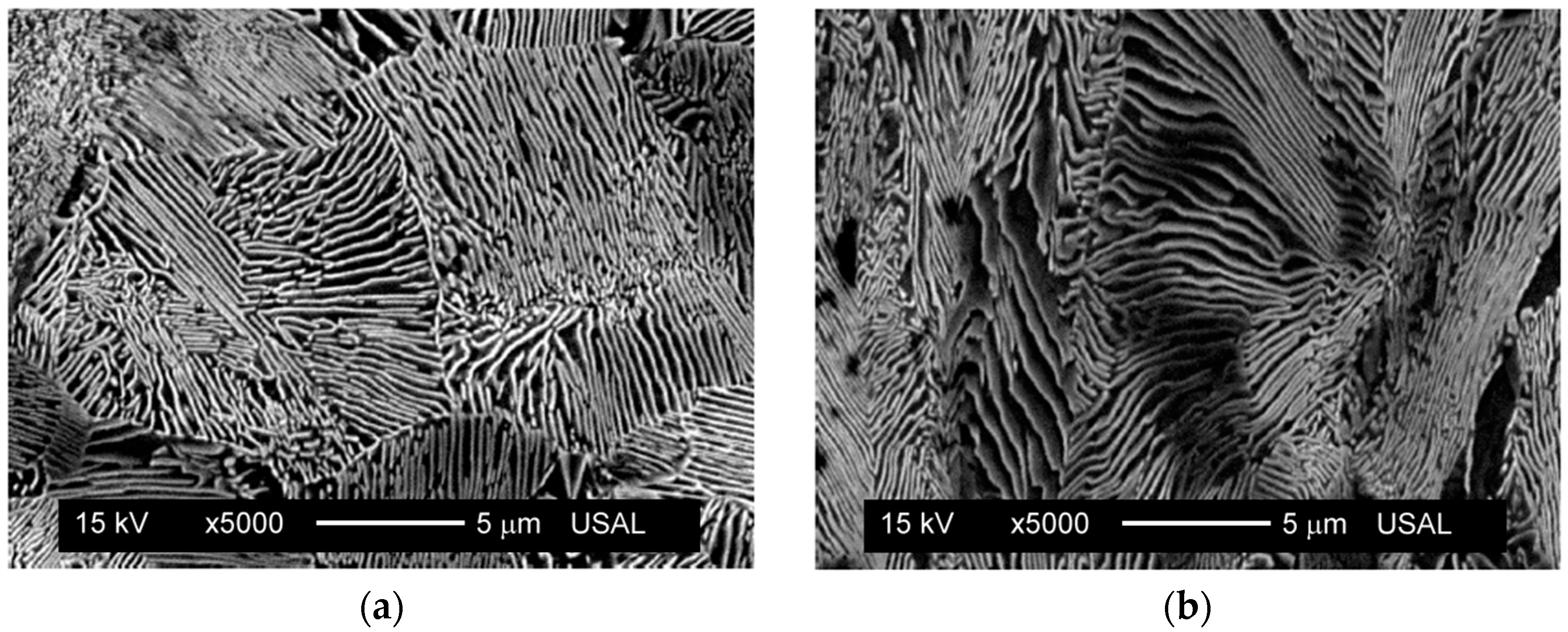 Metals 10 00114 g003