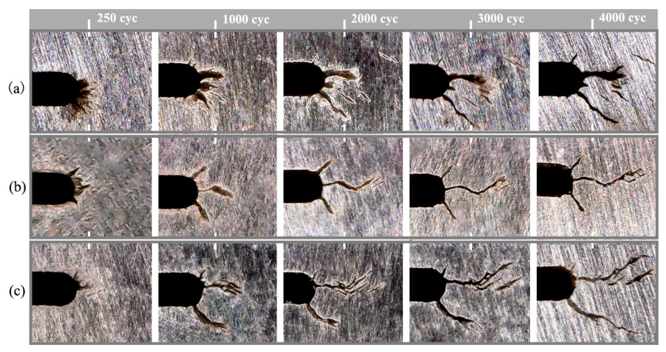 Metals 10 00116 g007