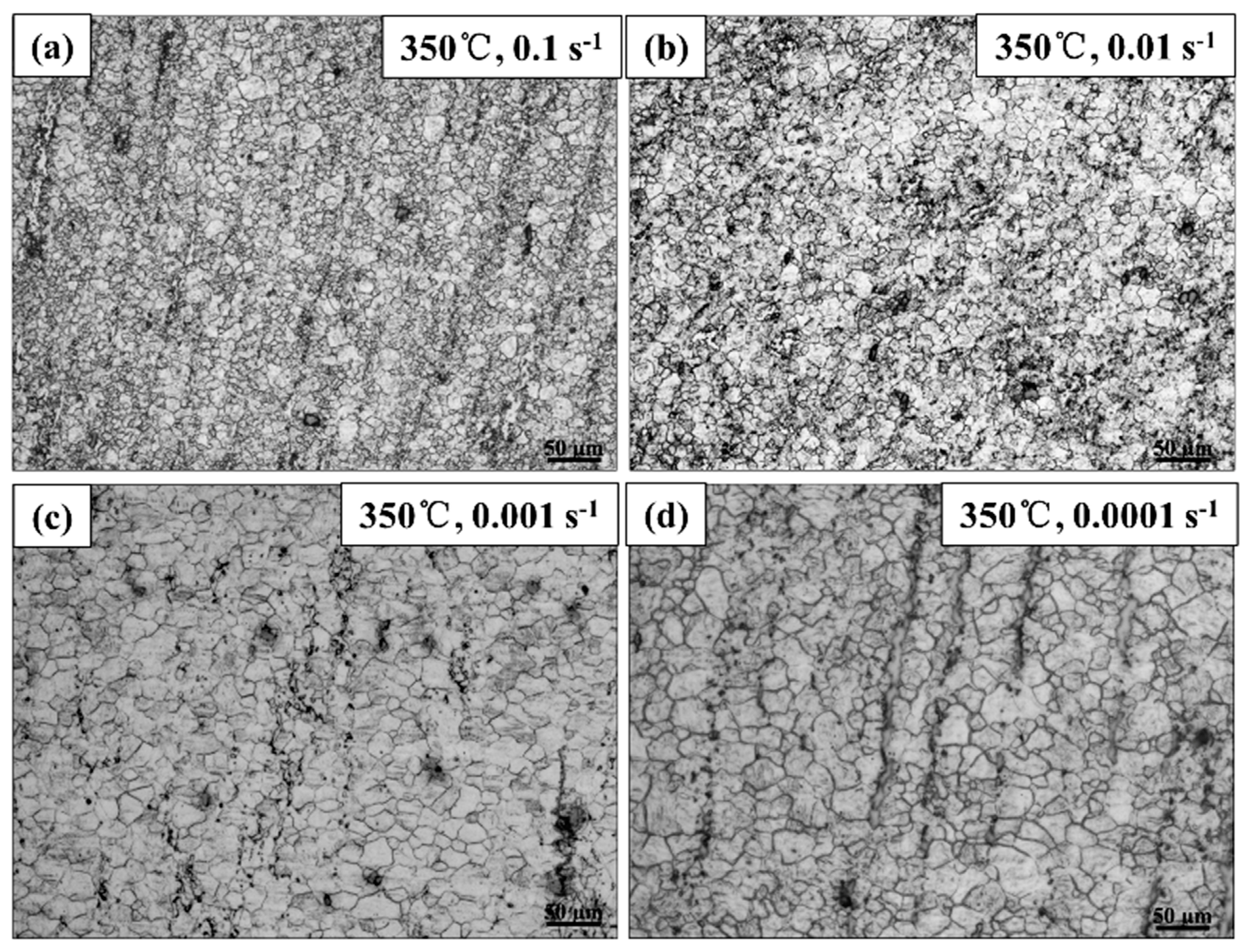 Metals 10 00119 g003a