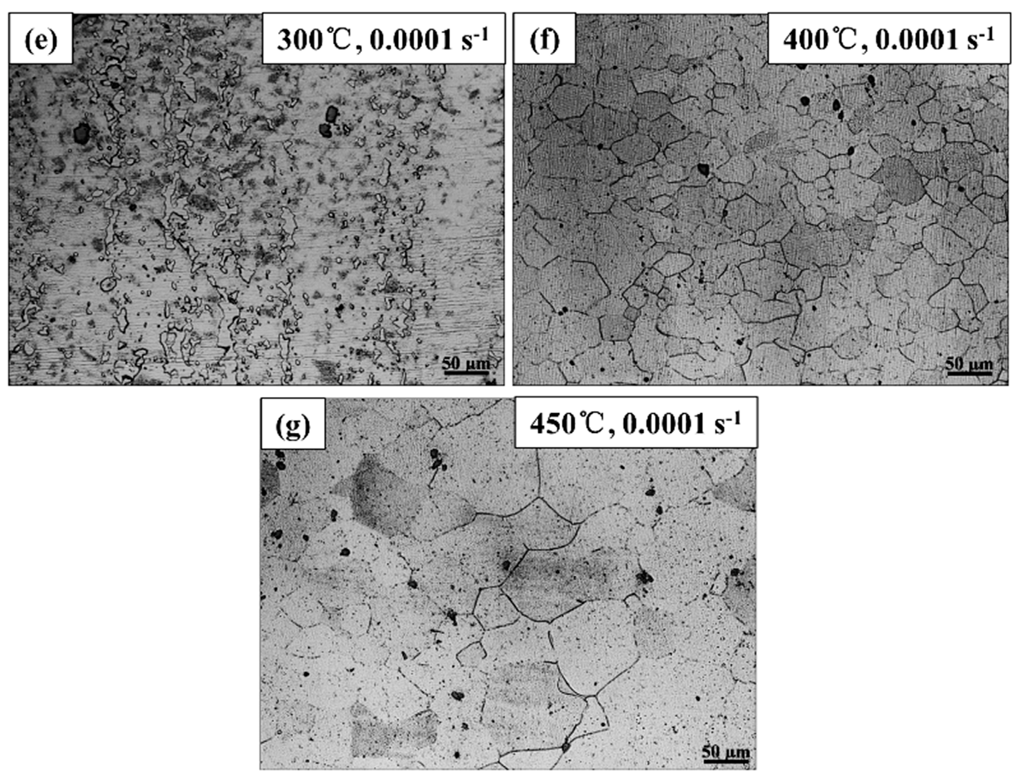 Metals 10 00119 g003b