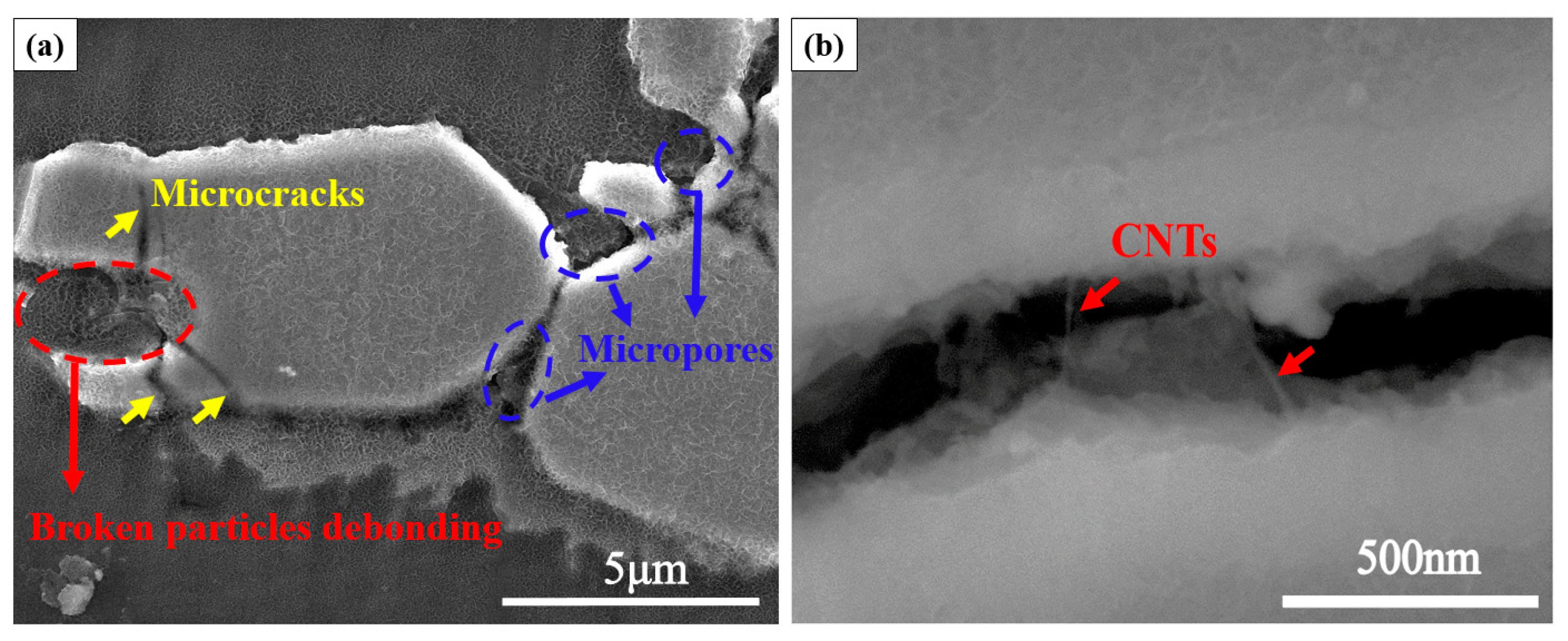 Metals 10 00119 g008