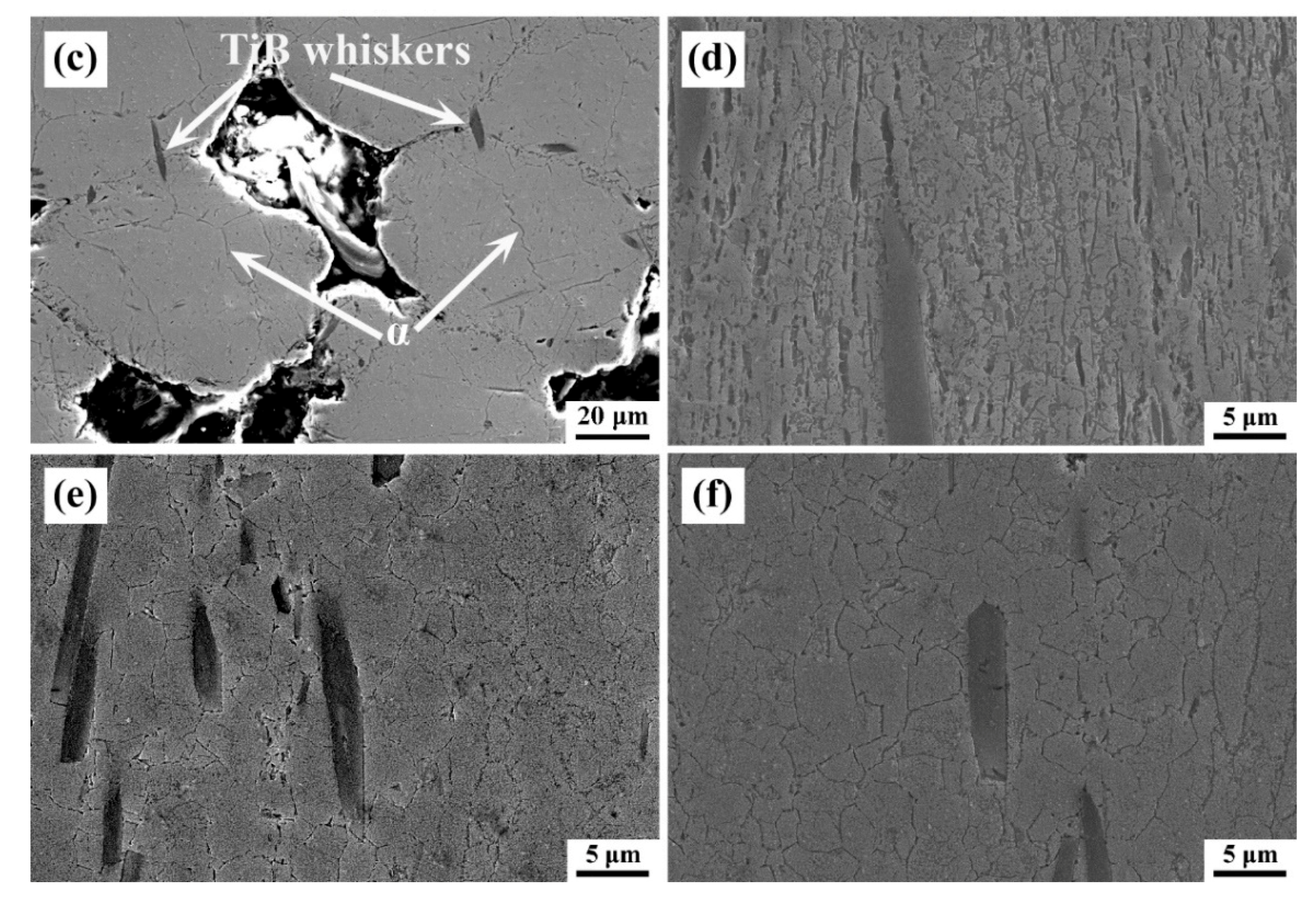 Metals 10 00126 g001b