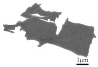 Metals 10 00137 i001