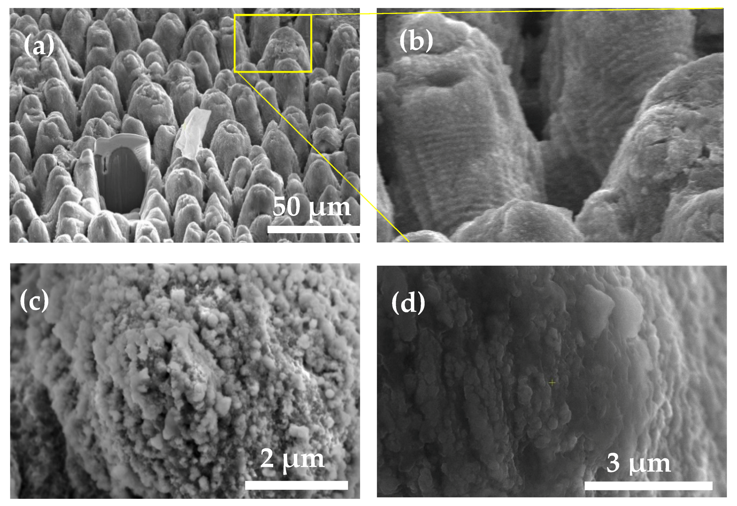 Metals 10 00144 g008a