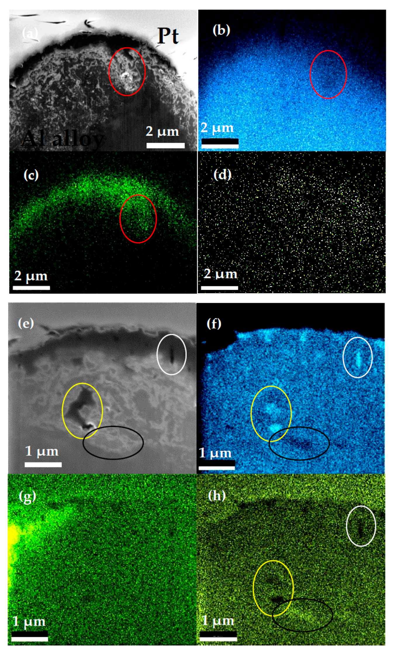 Metals 10 00144 g010