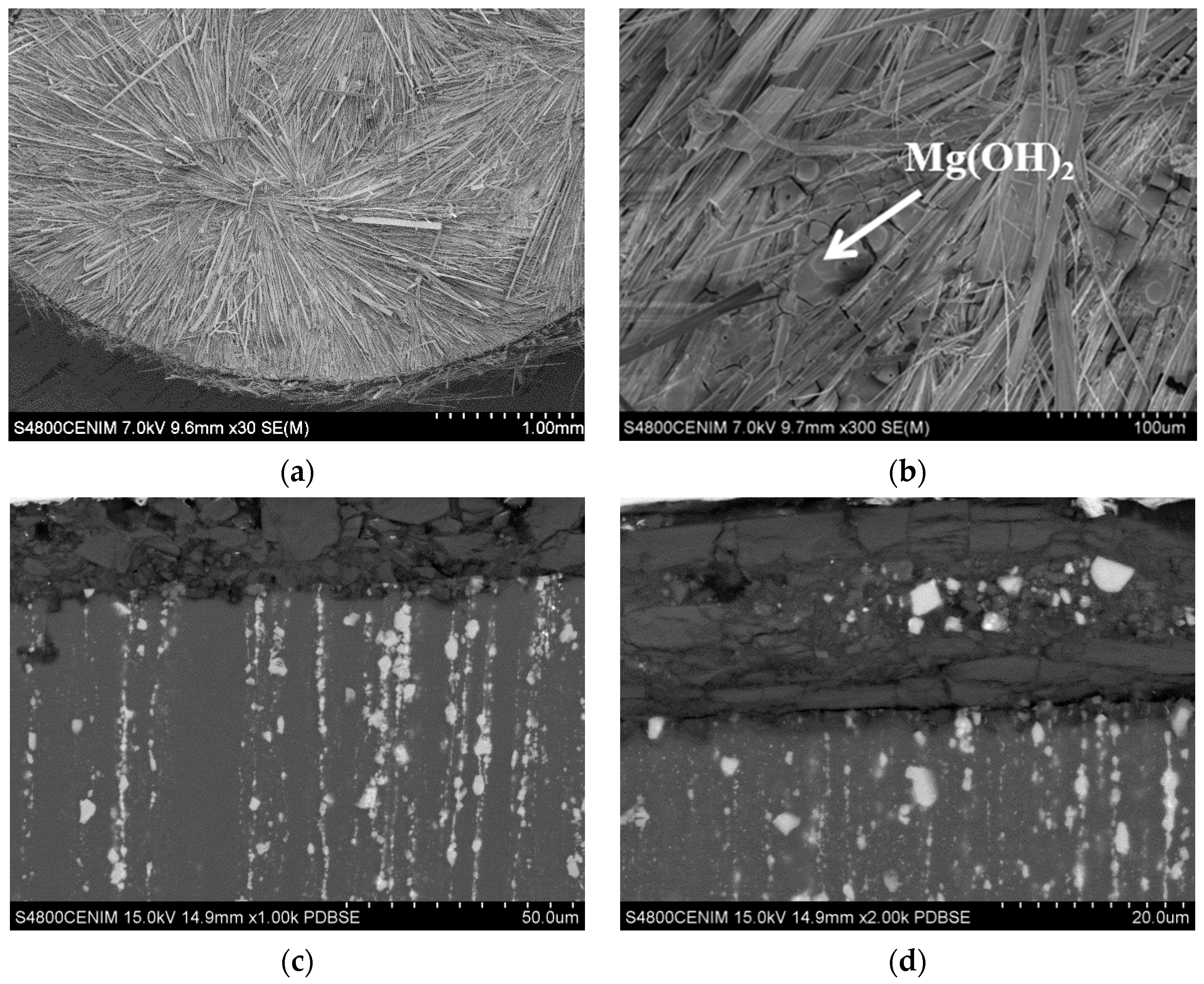 Metals 10 00148 g007