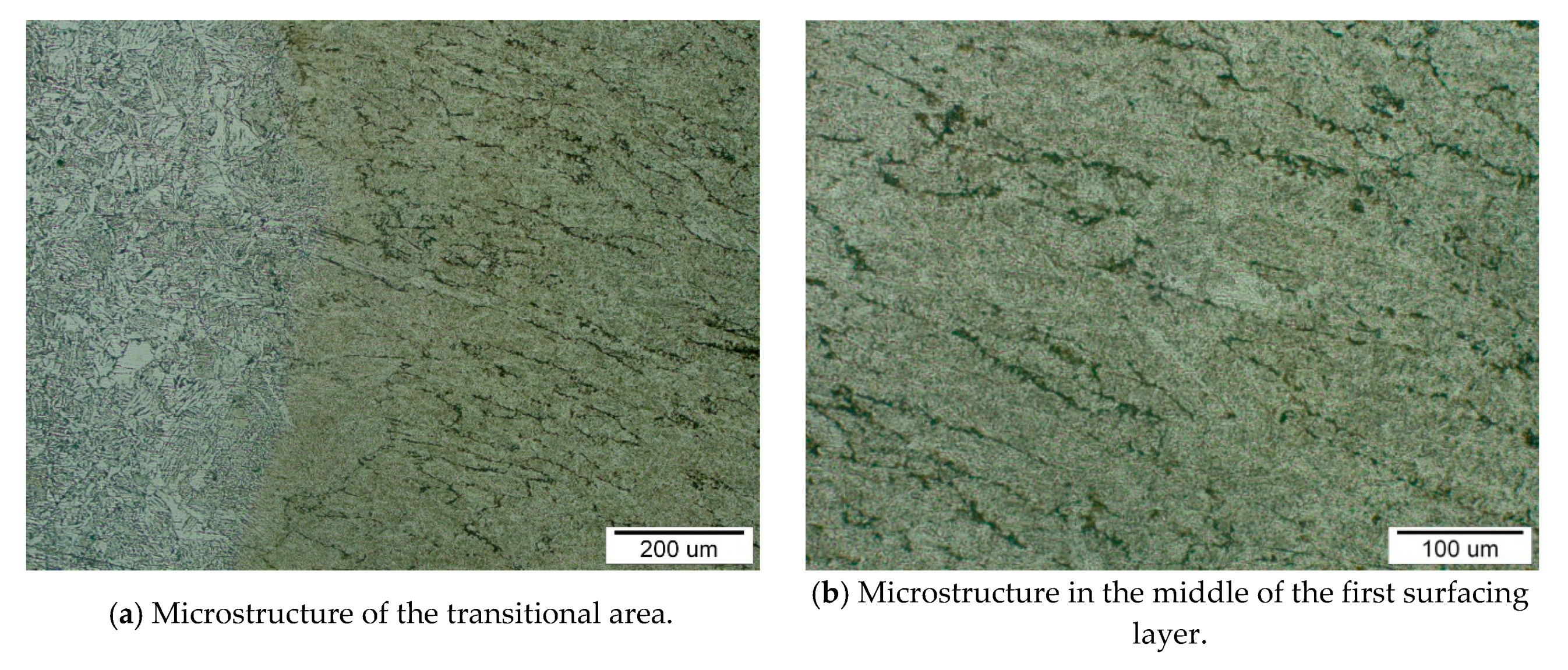 Metals 10 00164 g005a