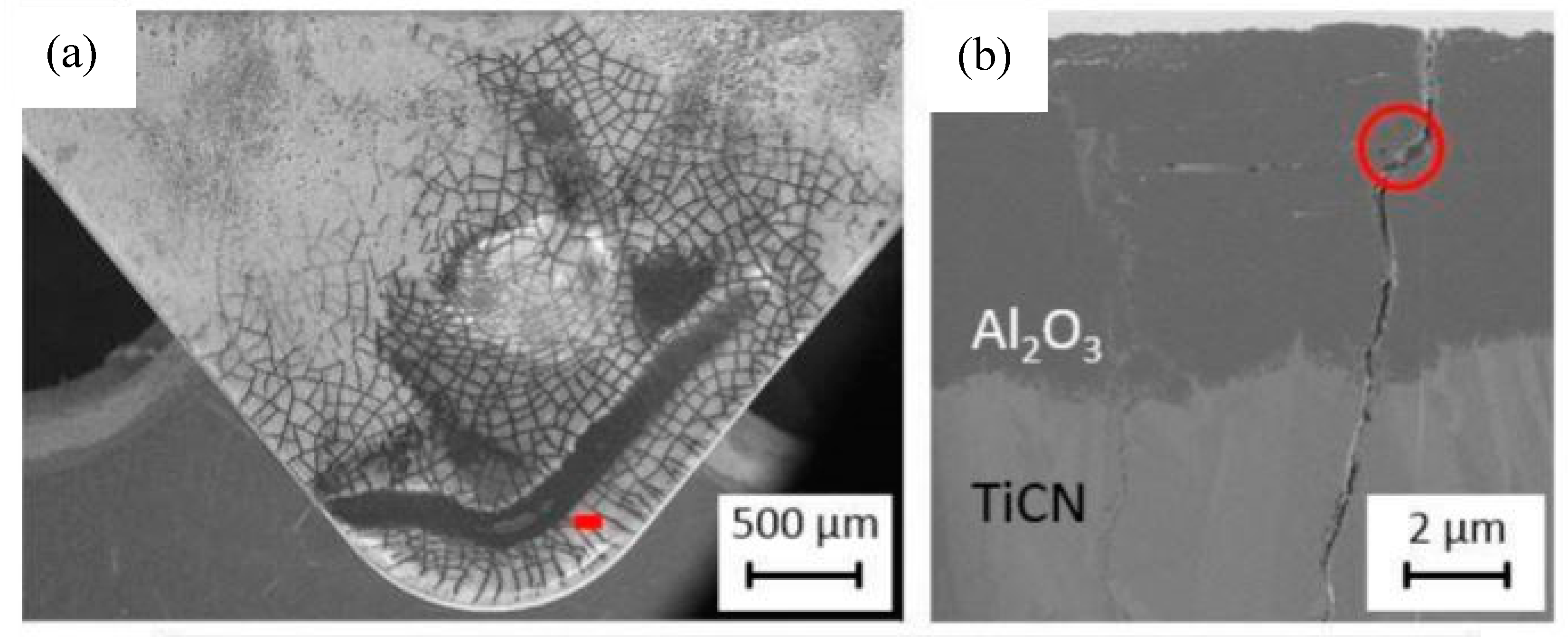 Metals 10 00170 g014 Metals 10 00170 g014