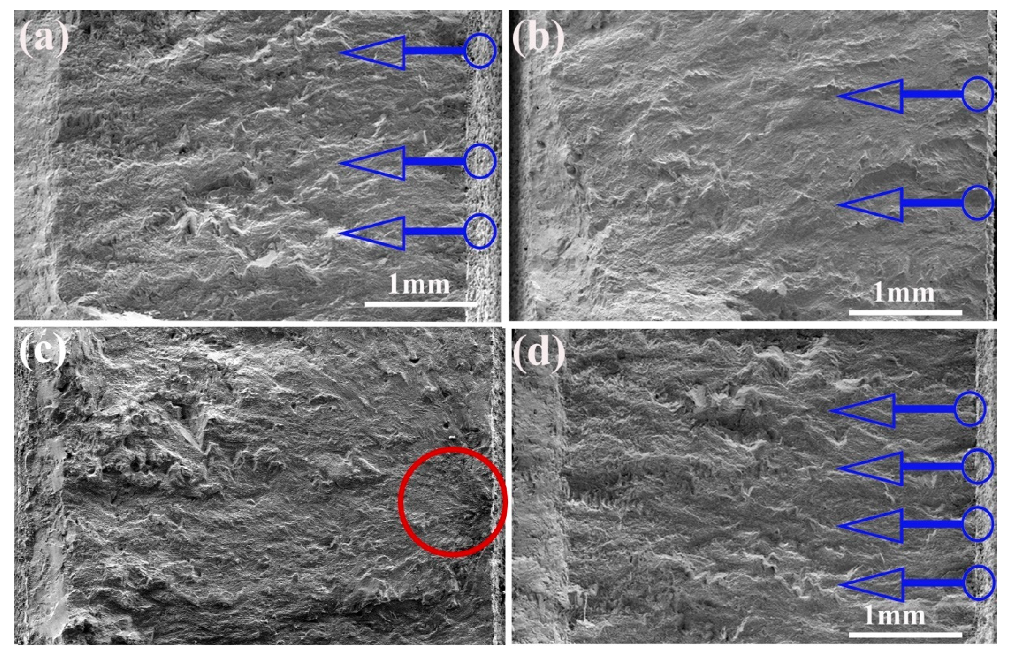 Metals 10 00191 g008