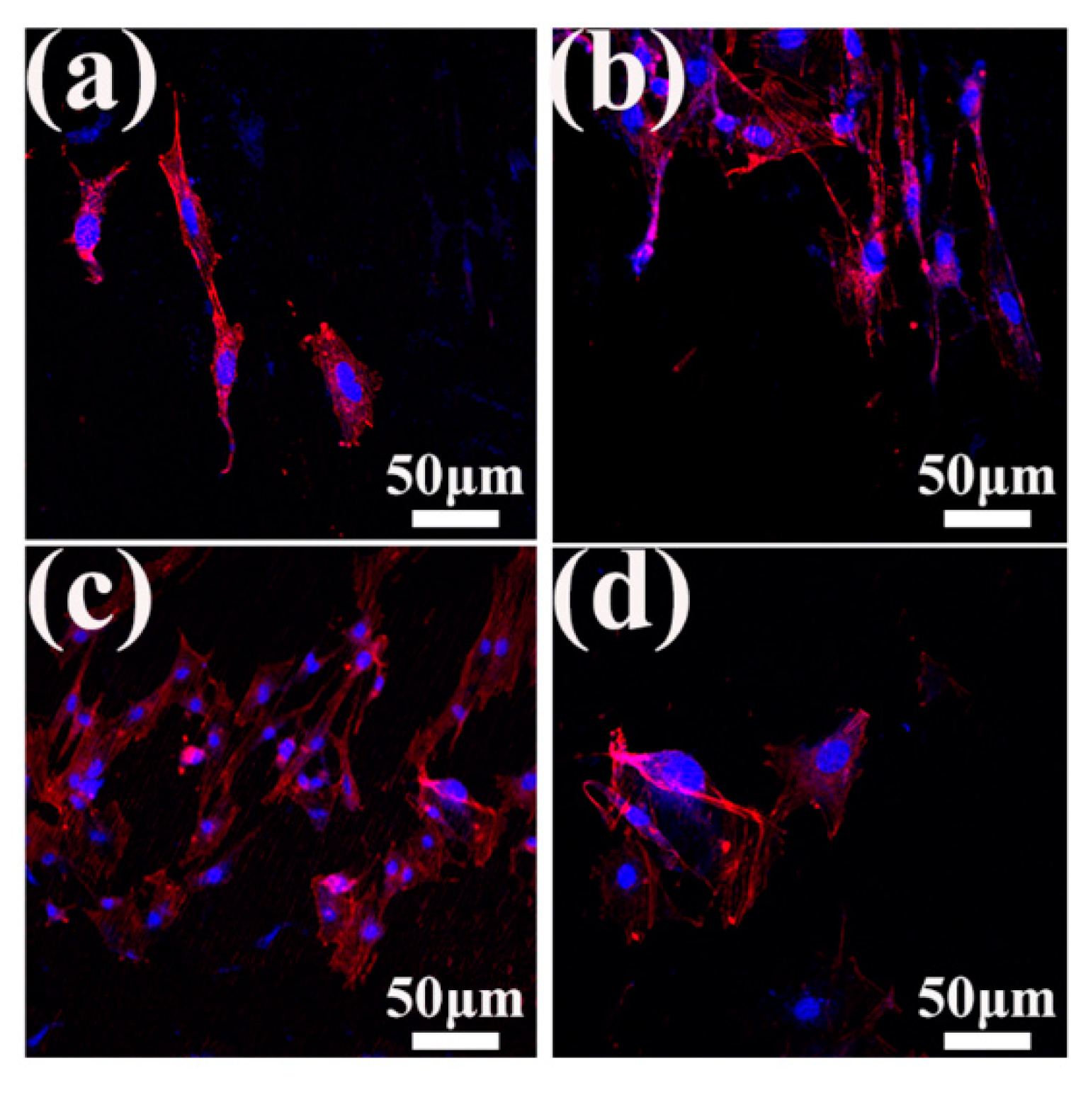Metals 10 00191 g009