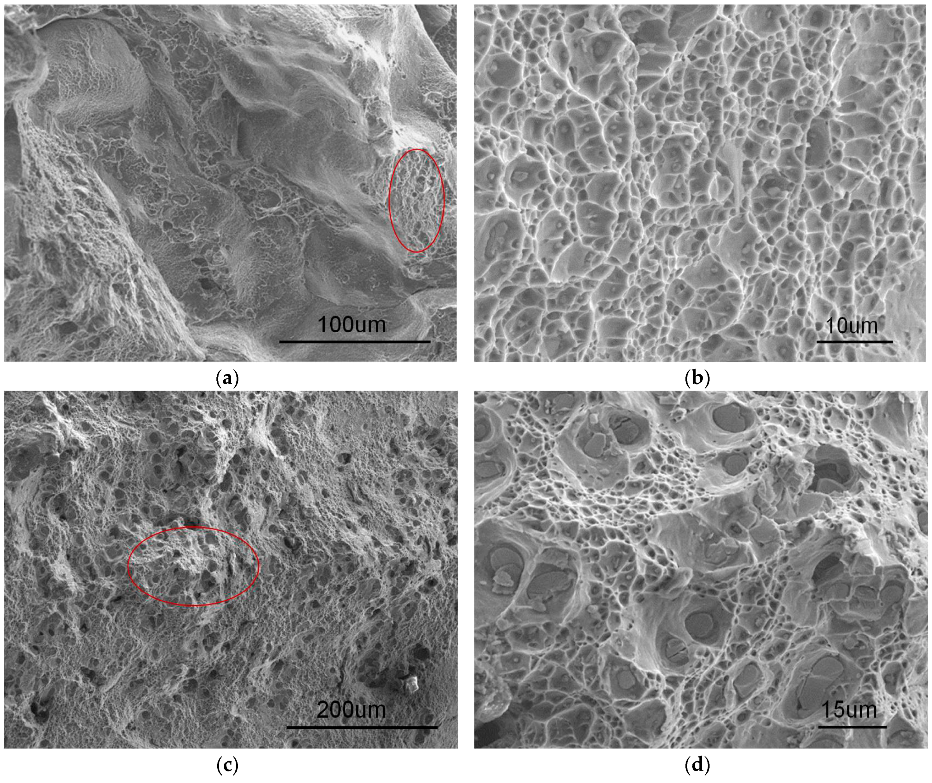 Metals 10 00197 g010