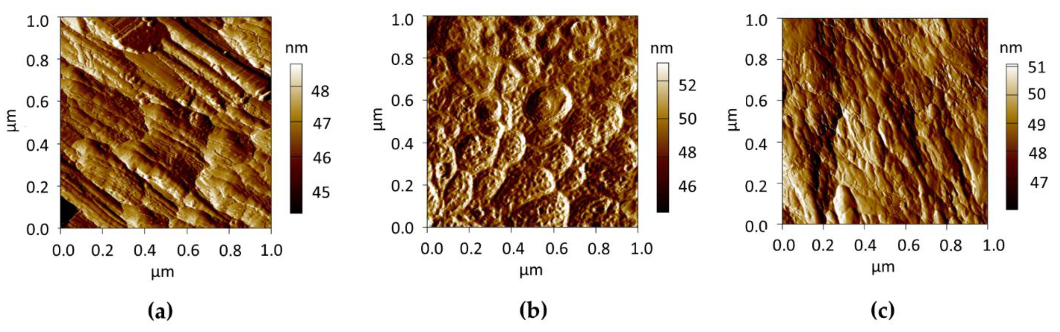 Metals 10 00207 g001