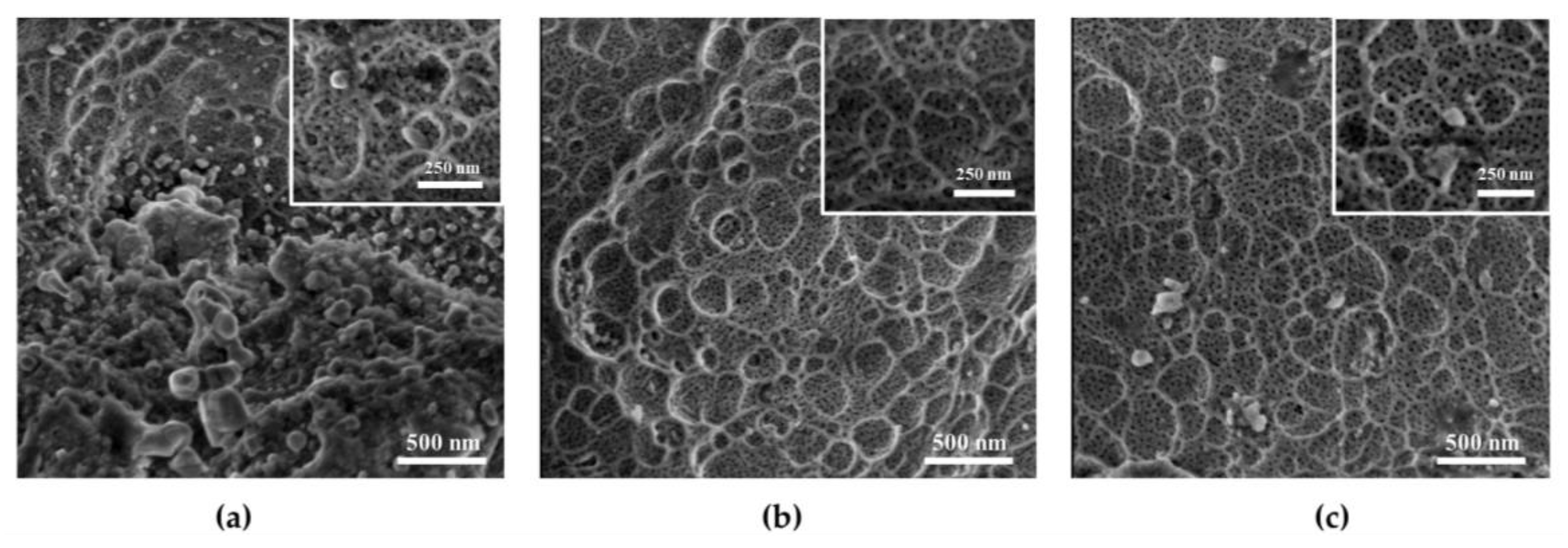 Metals 10 00207 g002