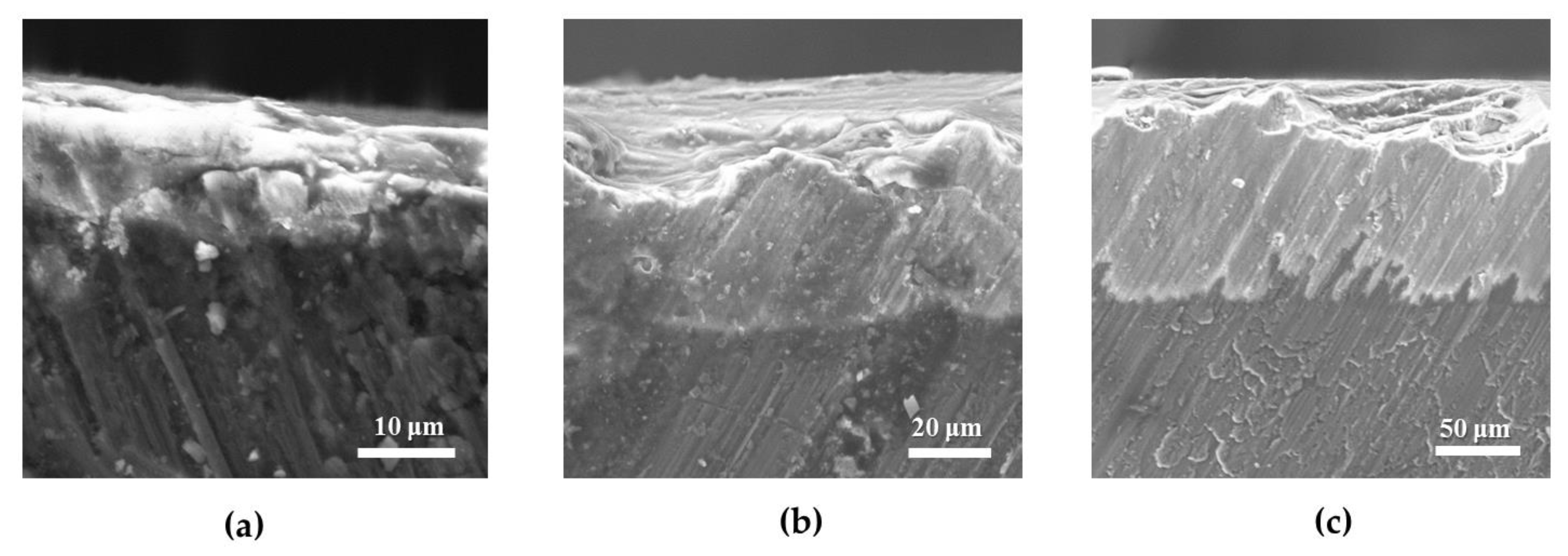 Metals 10 00207 g003