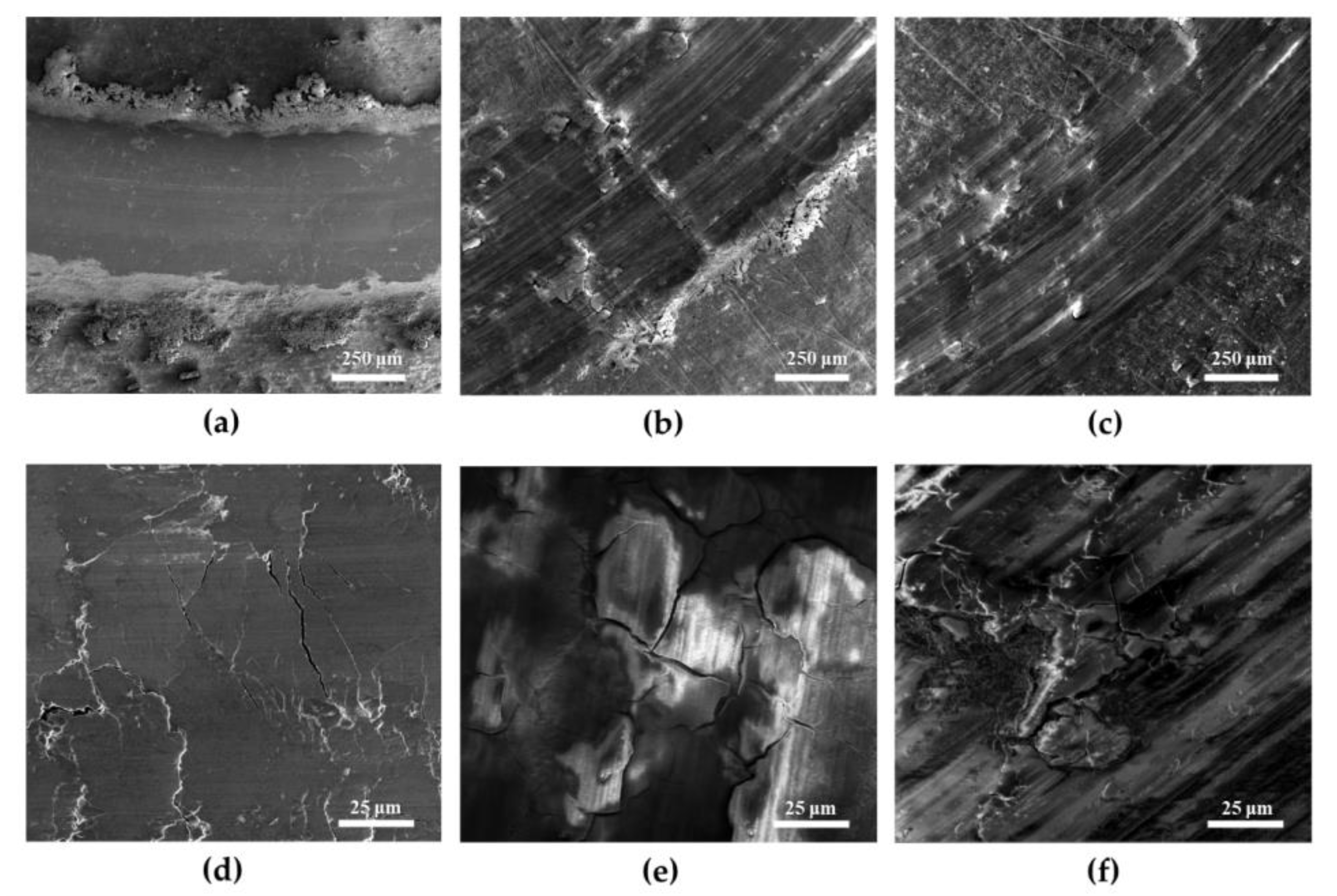 Metals 10 00207 g005