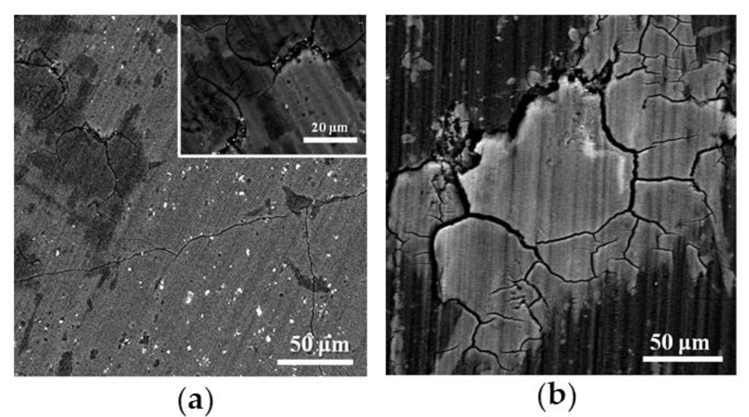 Metals 10 00207 g011