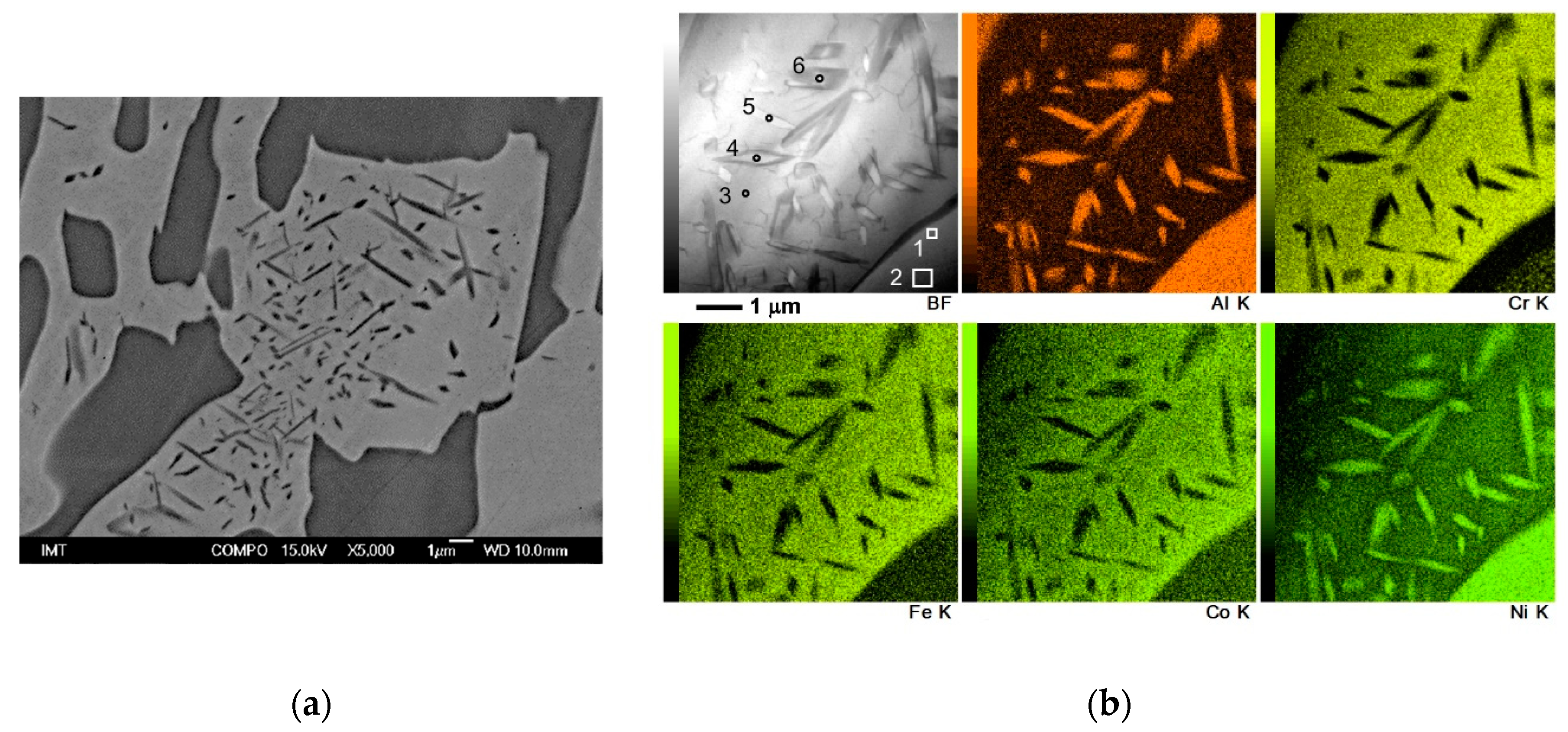 Metals 10 00208 g006