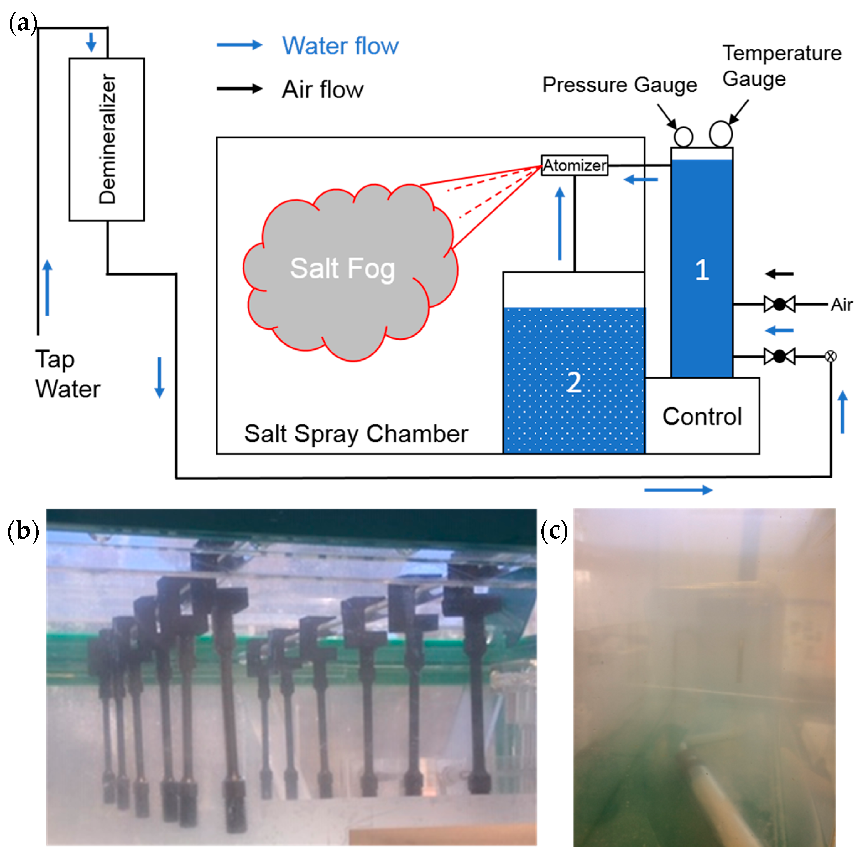 Metals 10 00218 g001