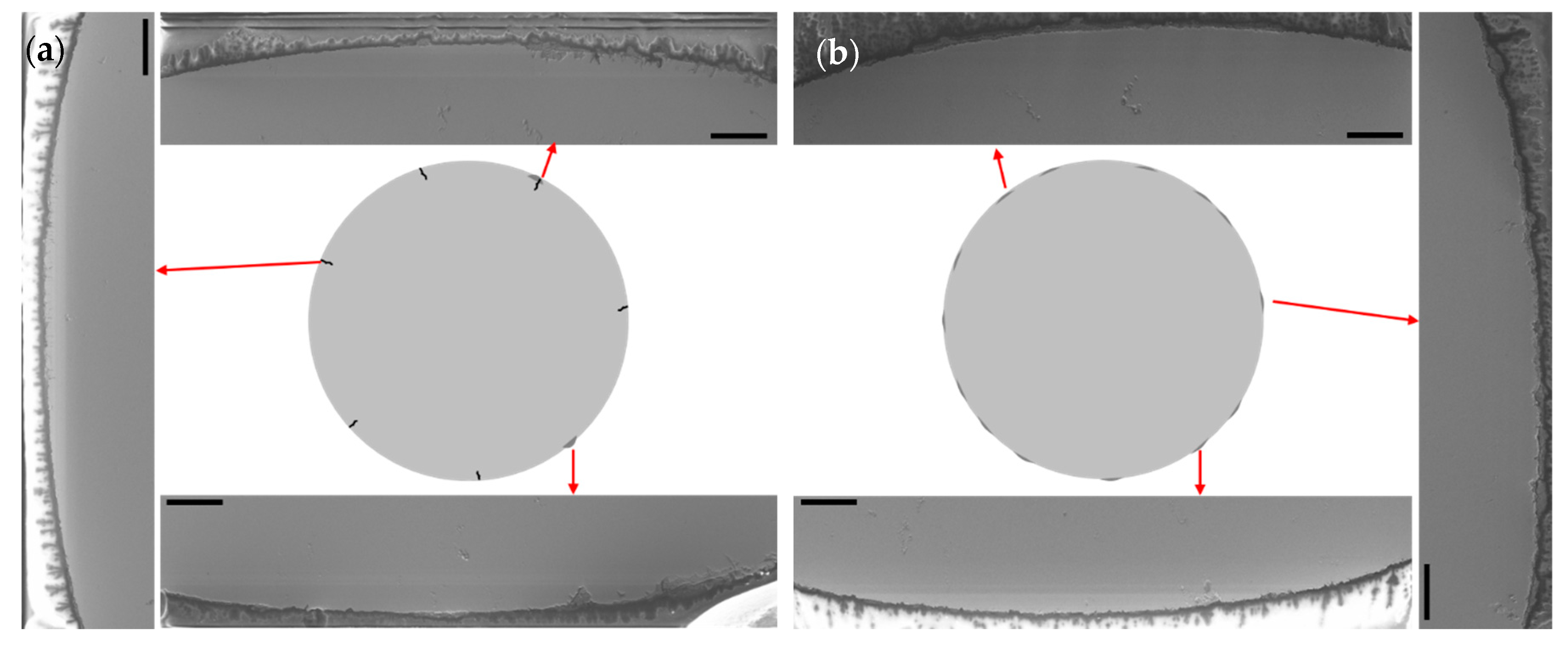 Metals 10 00218 g010