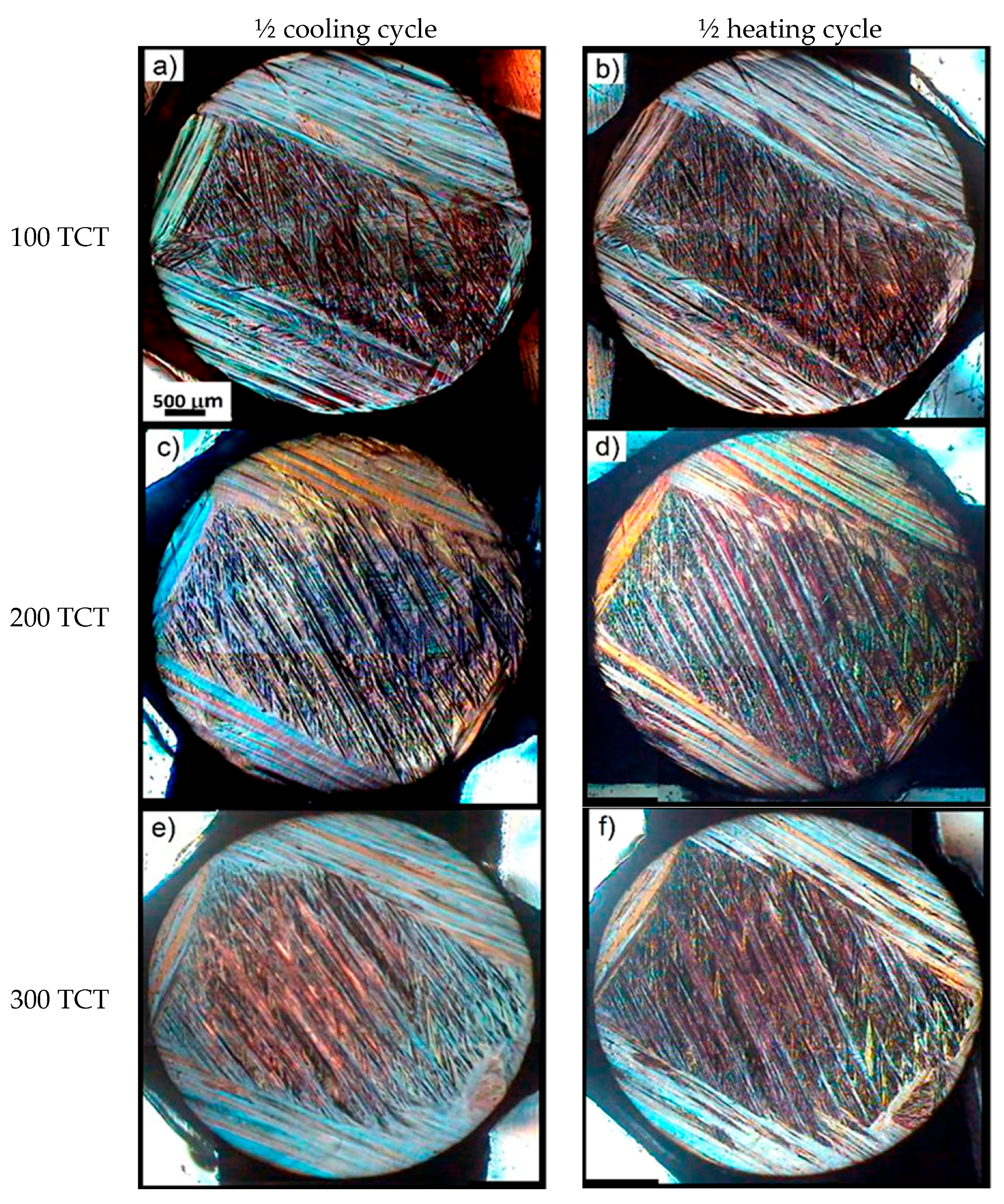 Metals 10 00219 g012