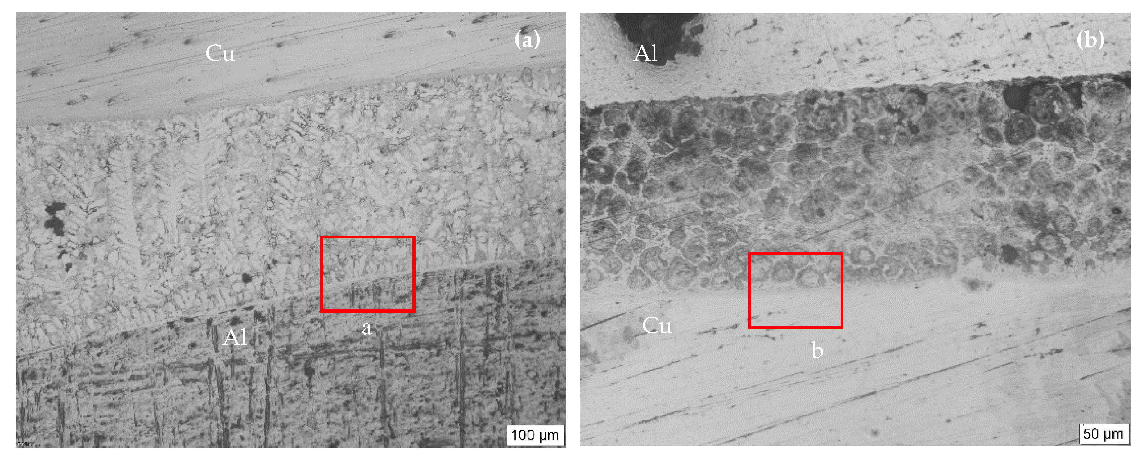 Metals 10 00223 g003