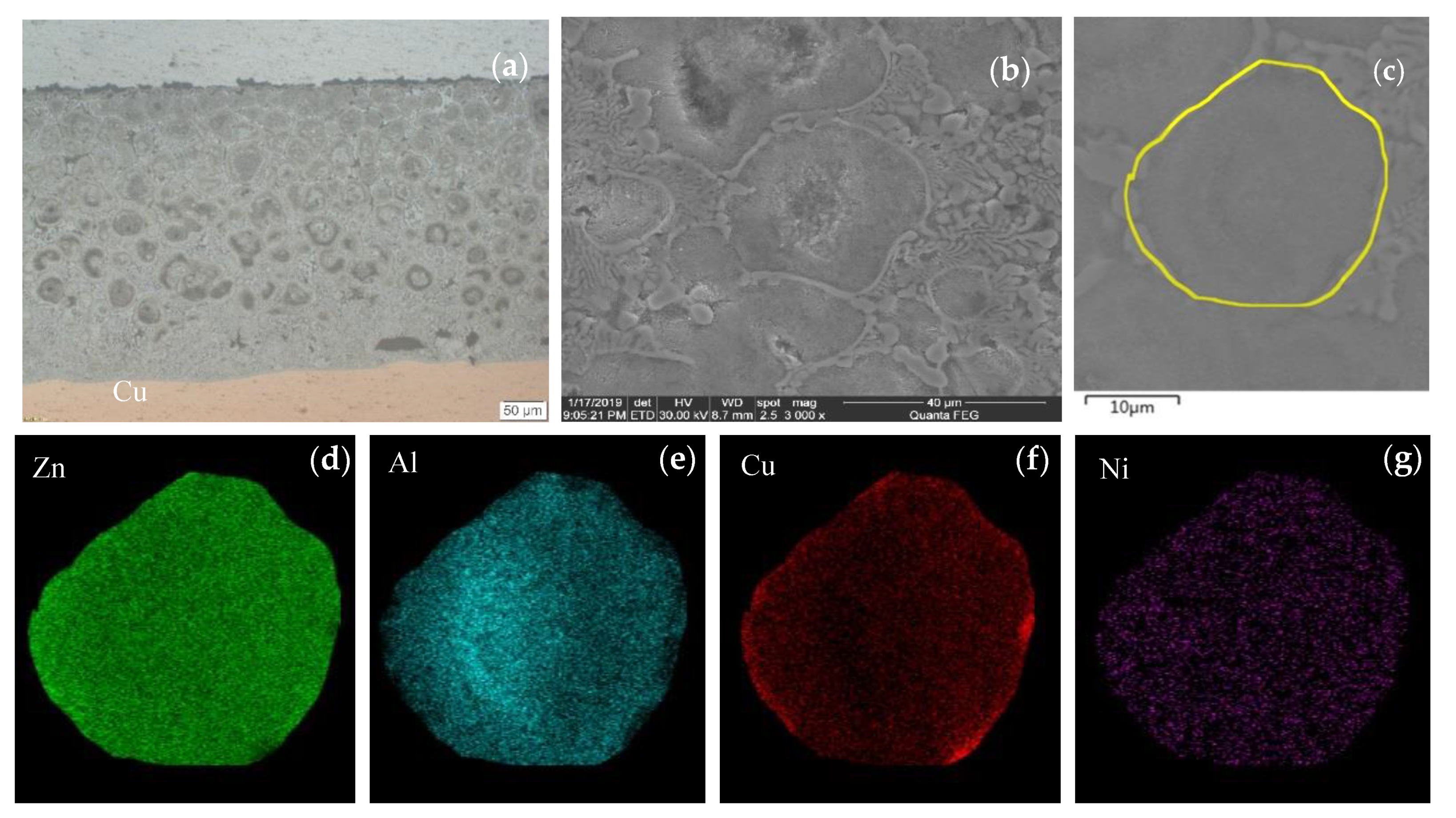 Metals 10 00223 g005