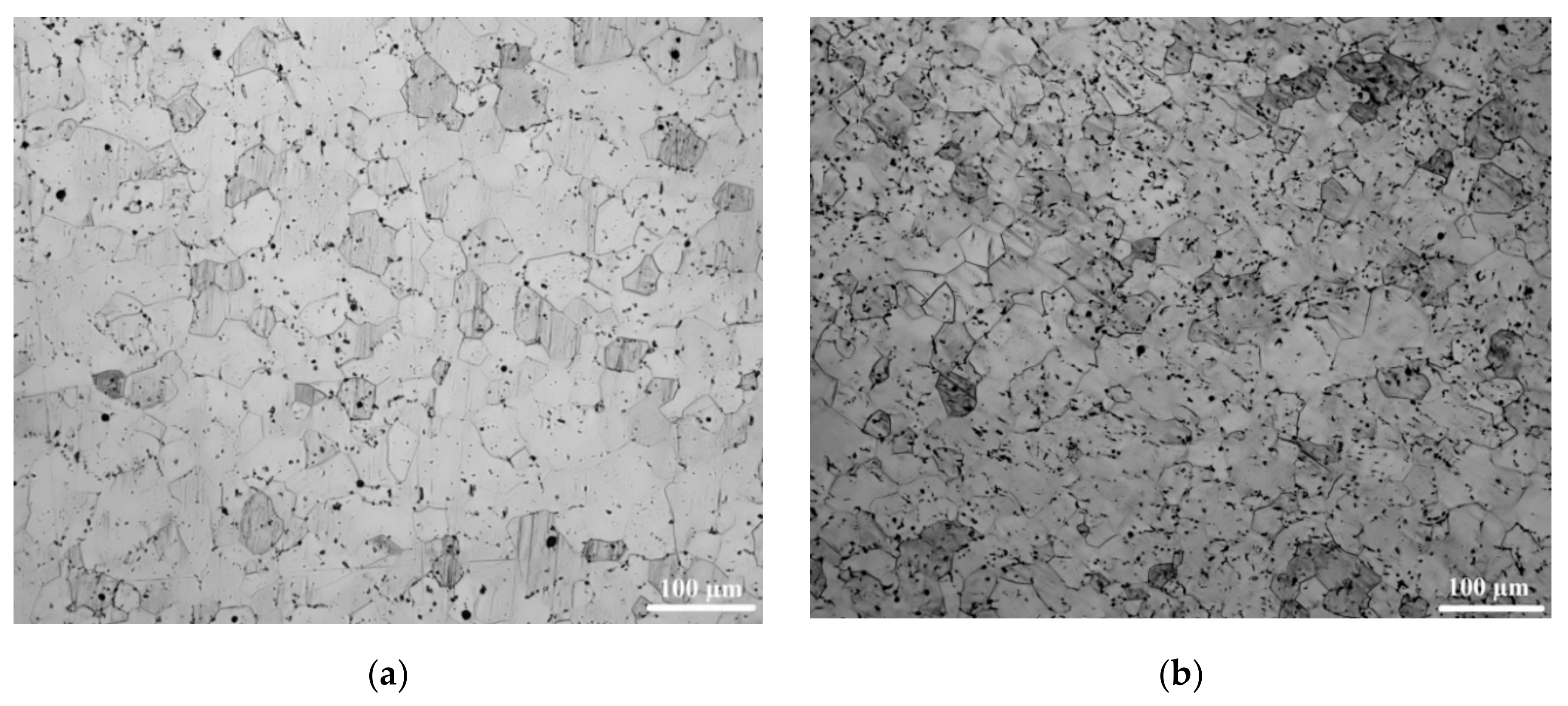 Metals 10 00227 g002