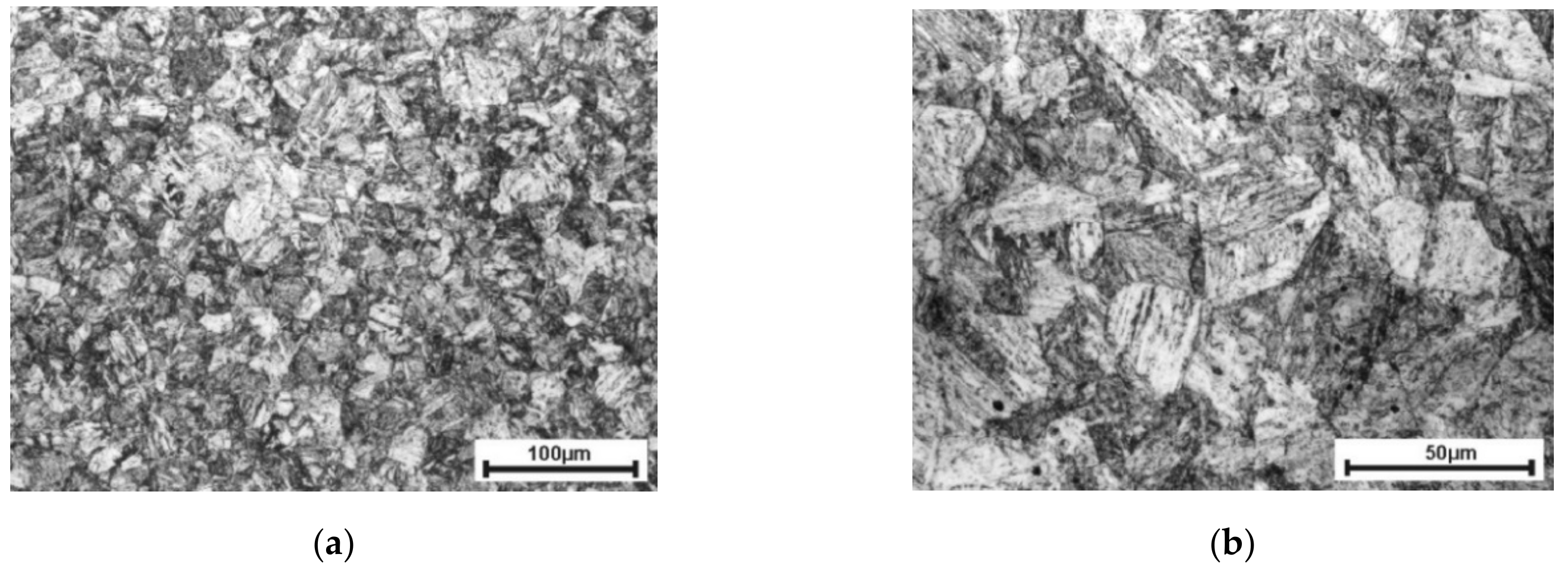 Metals 10 00228 g001