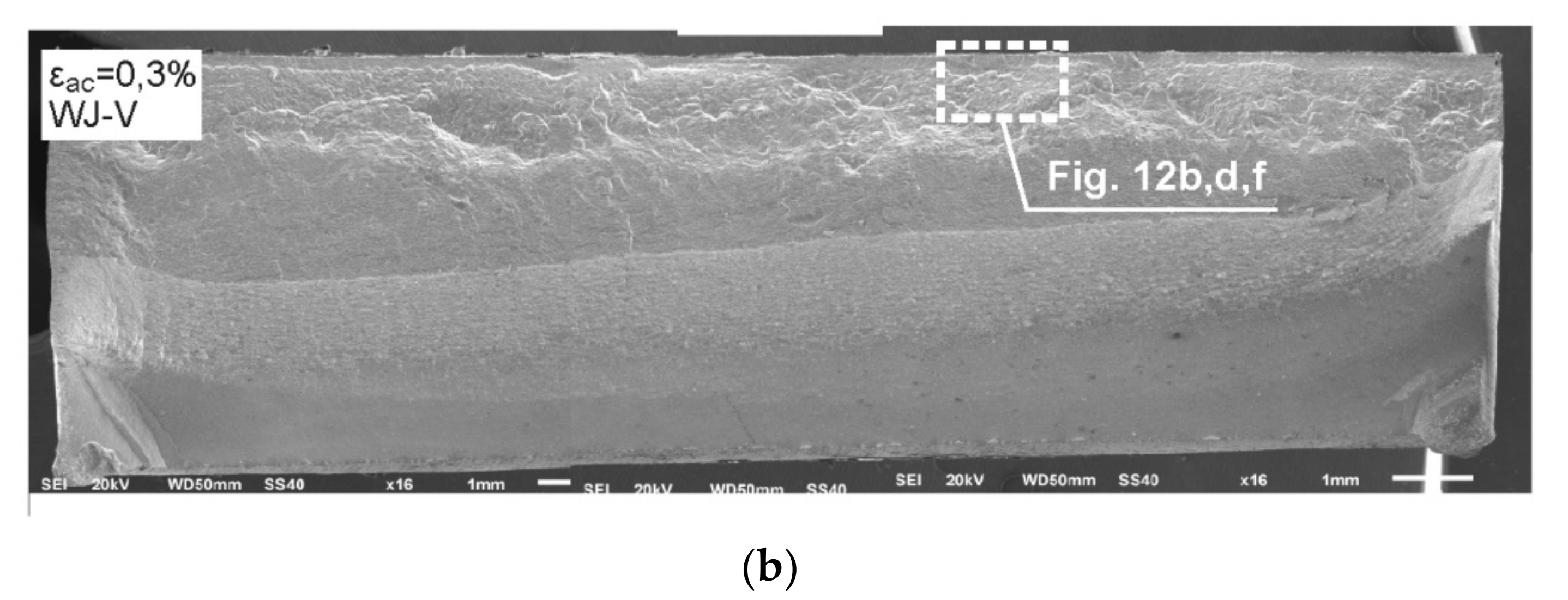 Metals 10 00228 g011b