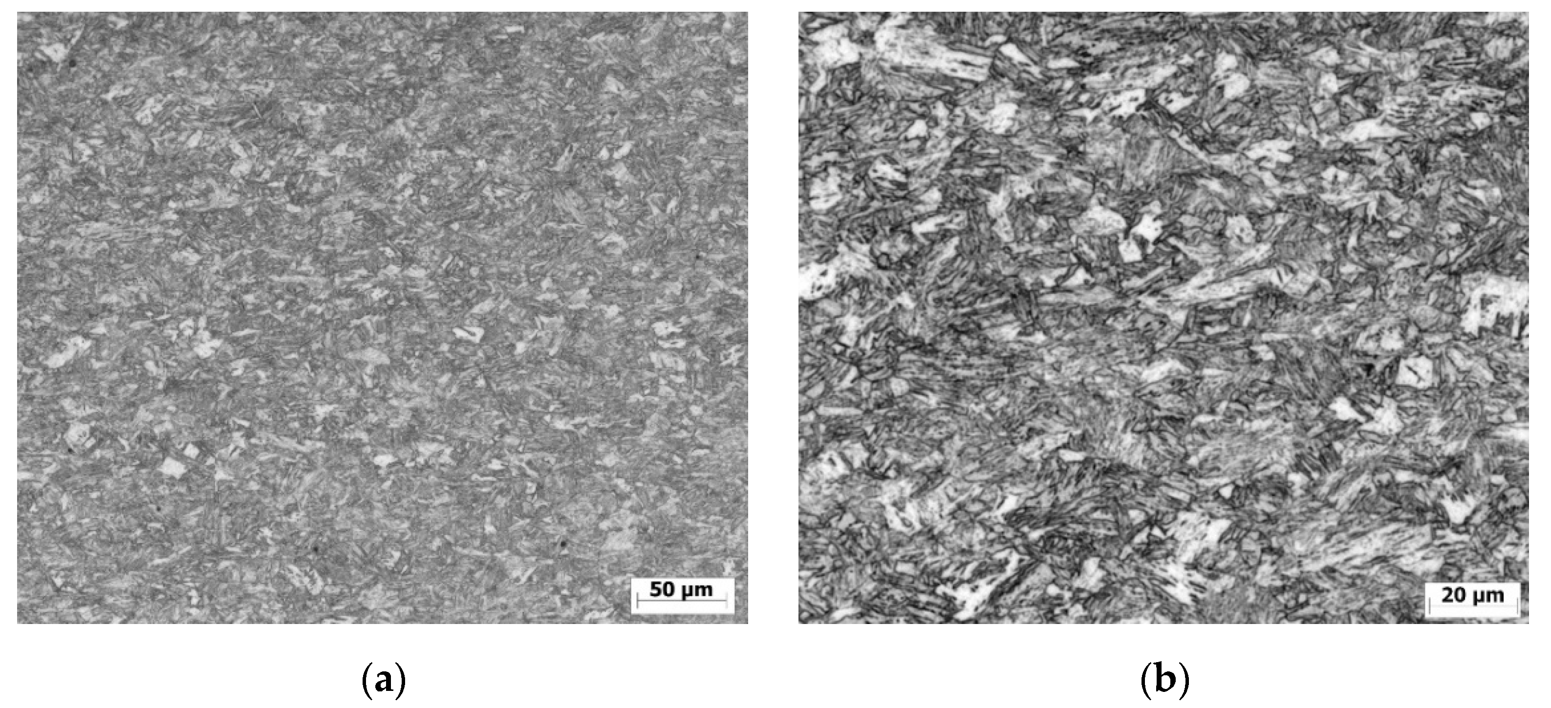 Metals 10 00229 g001